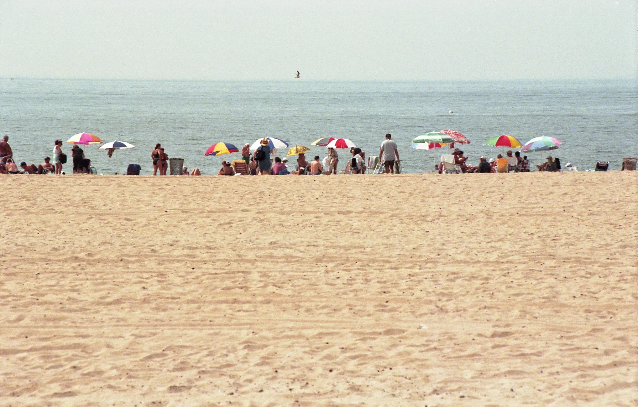 CONEY ISLAND BEACH