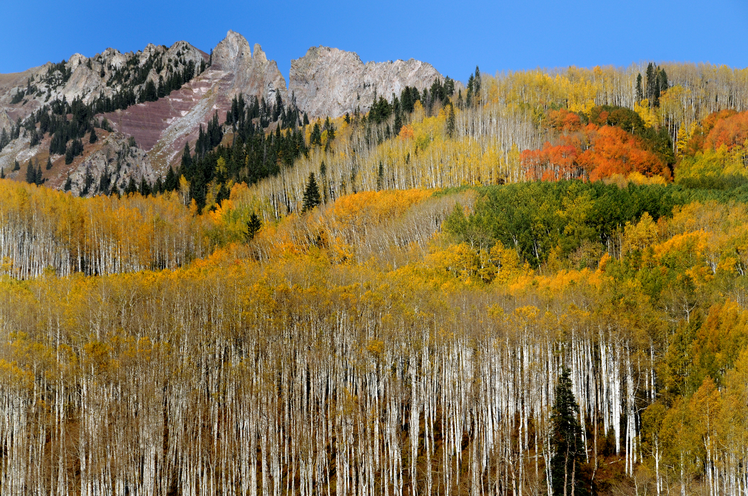 Kebler Pass #3