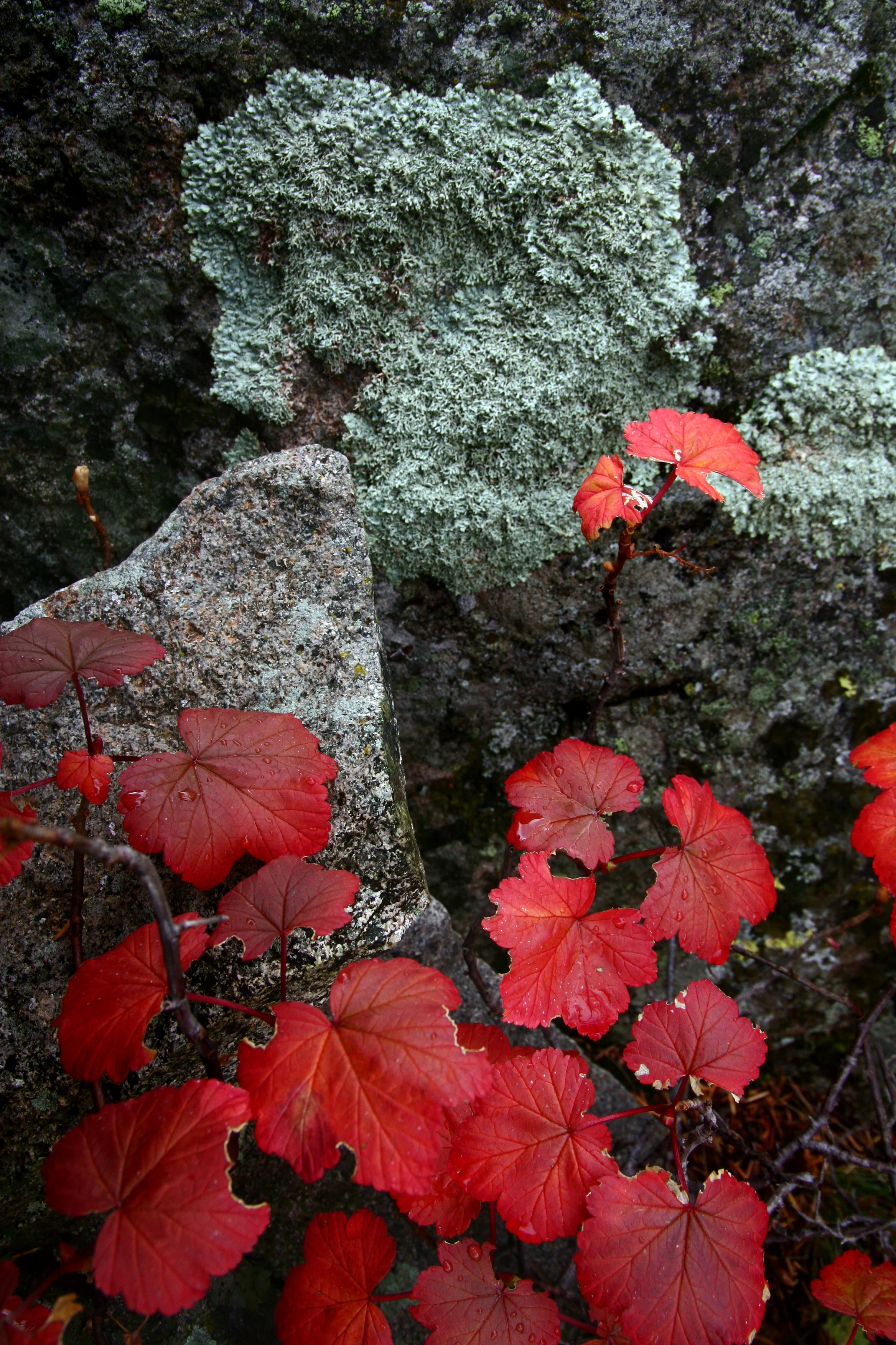 Color and Texture