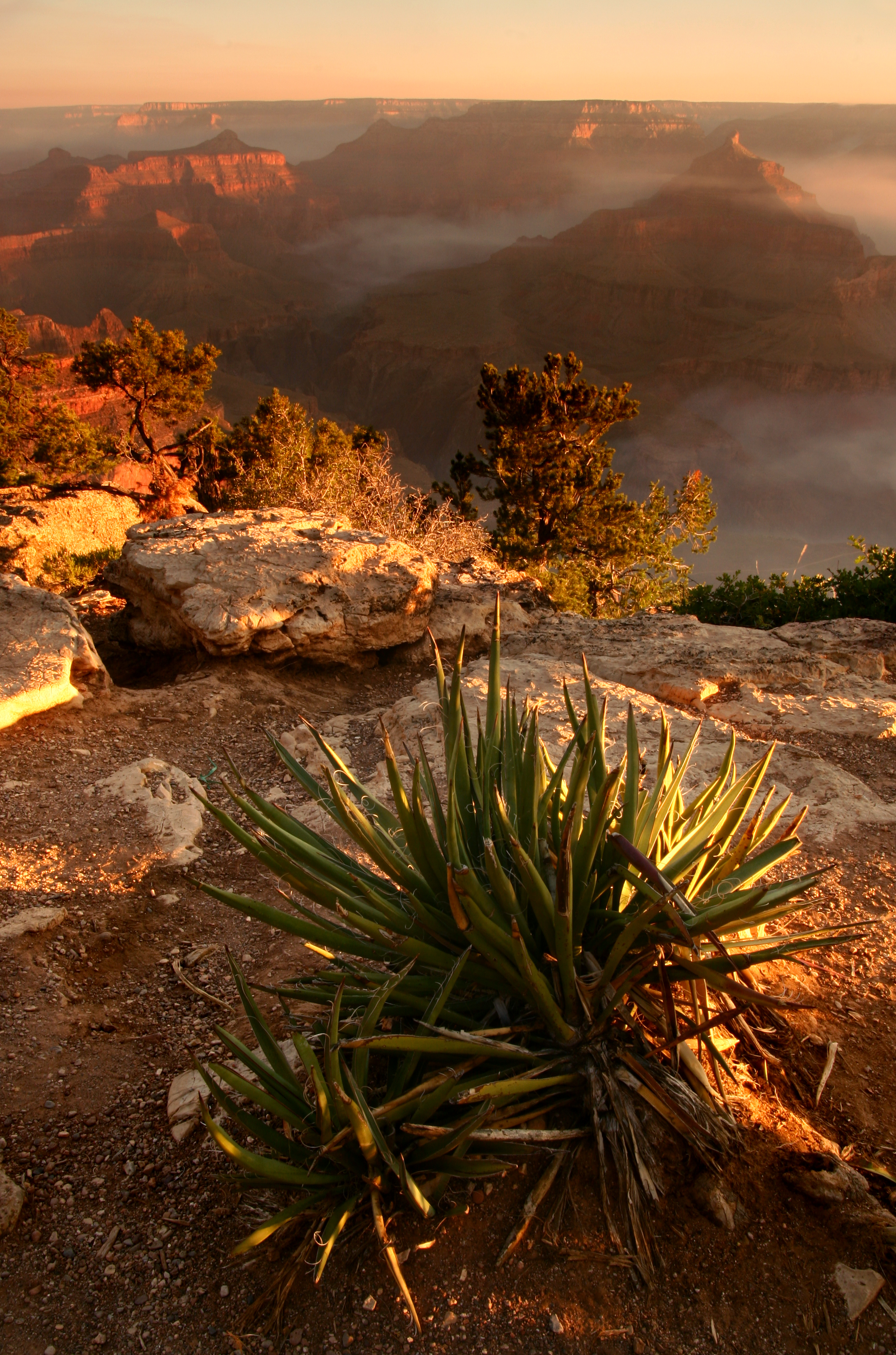 Mather Point Sunrise