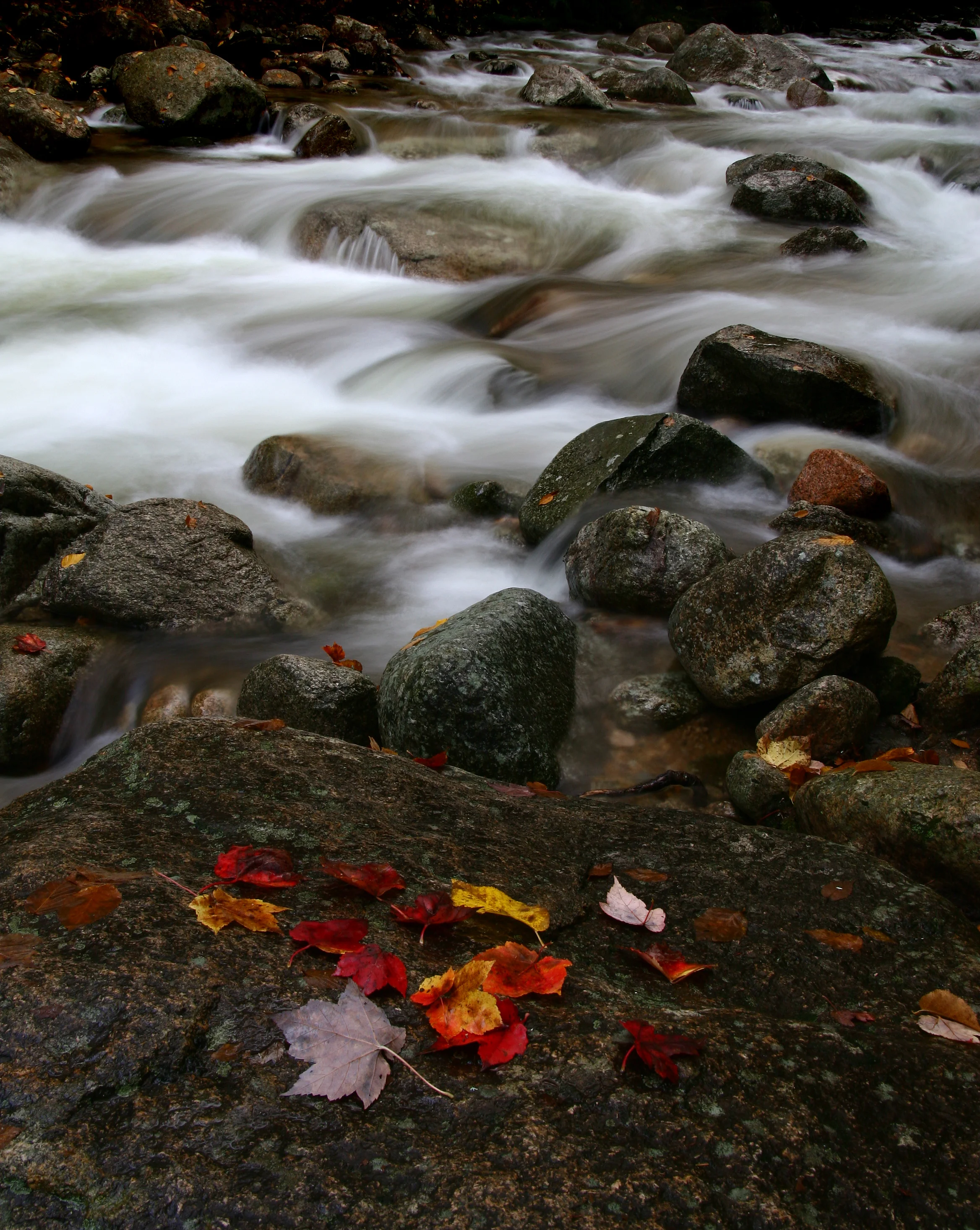 Stop and Go, Sabbaday Falls