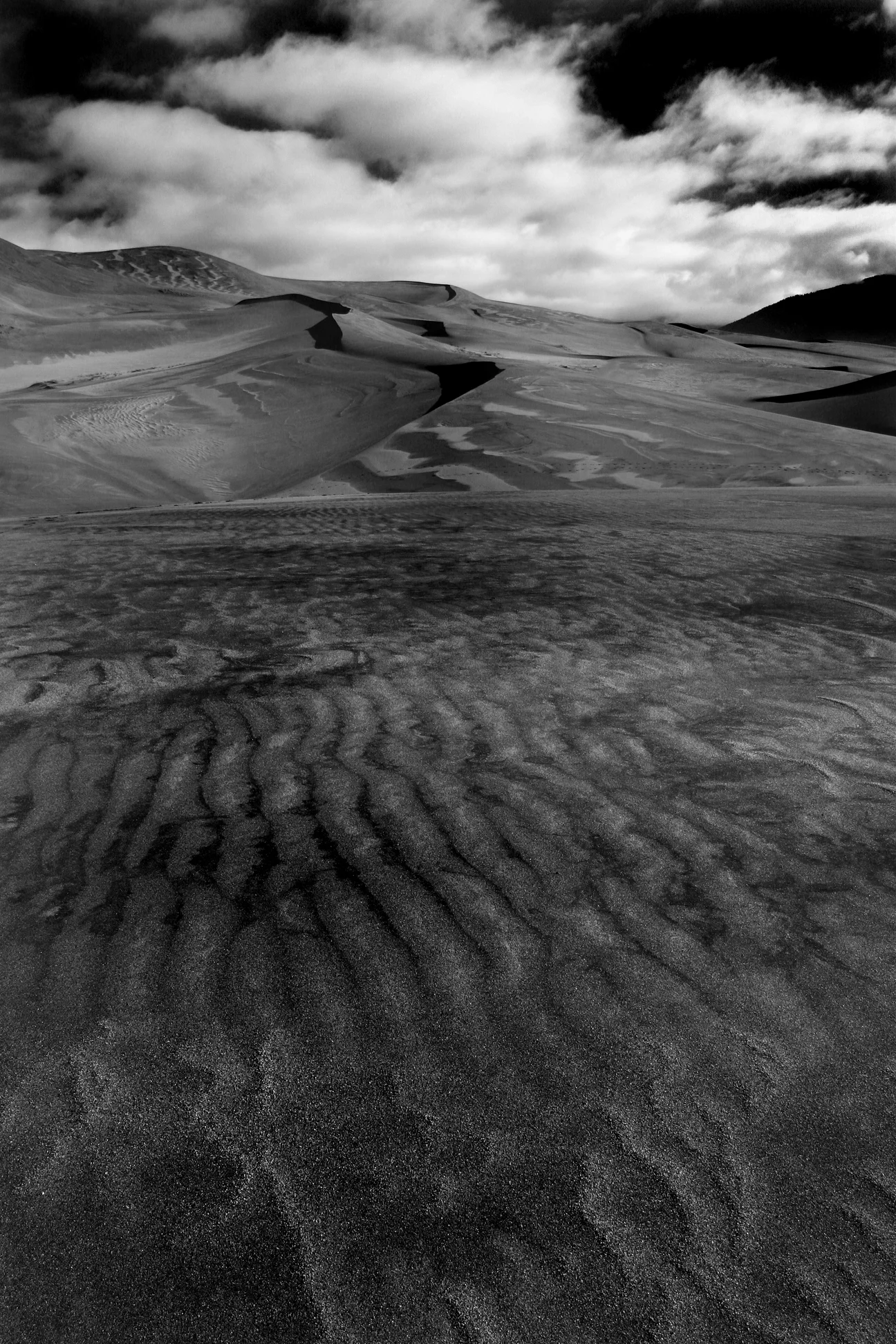 Dune