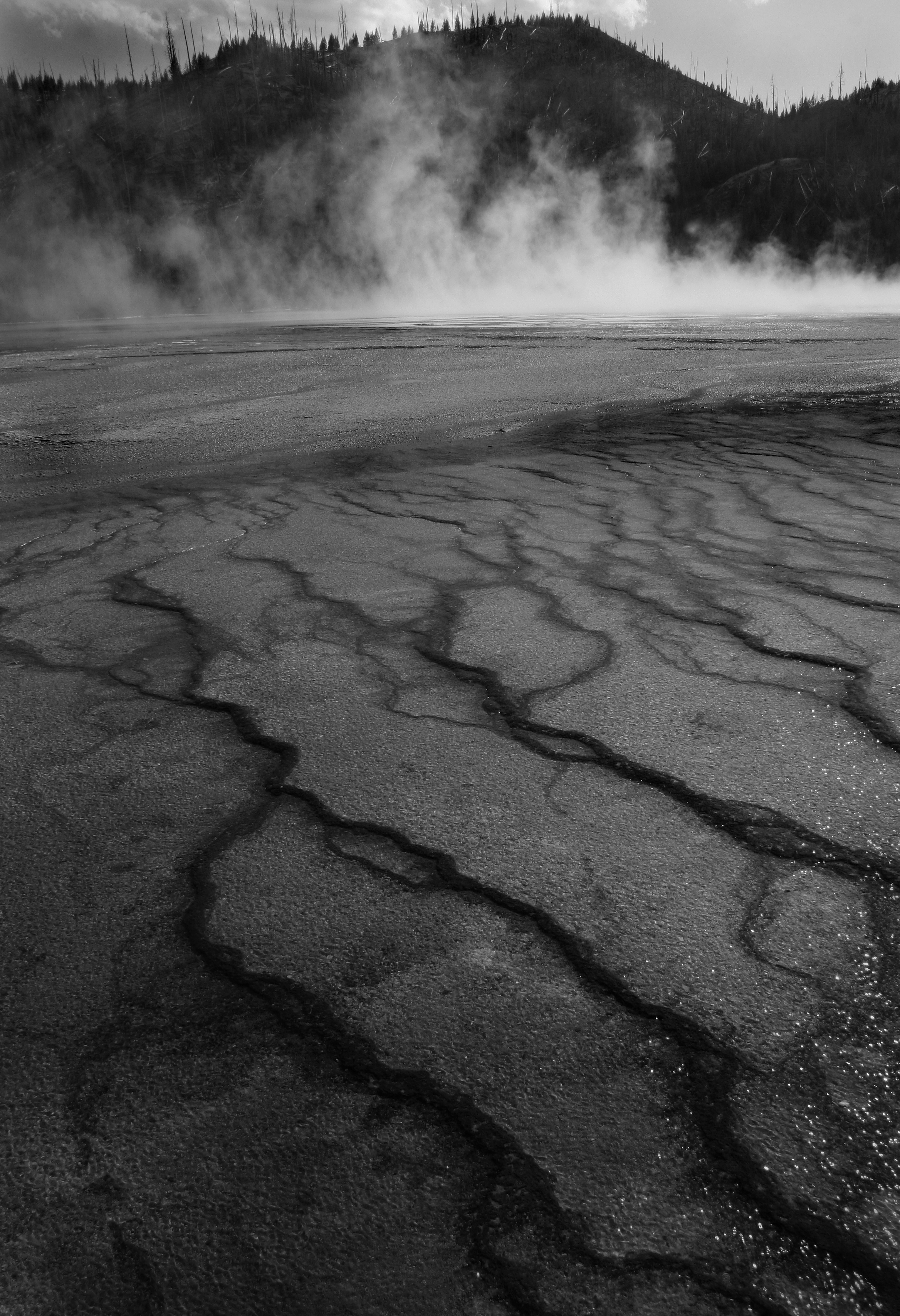 Grand Prismatic Steam