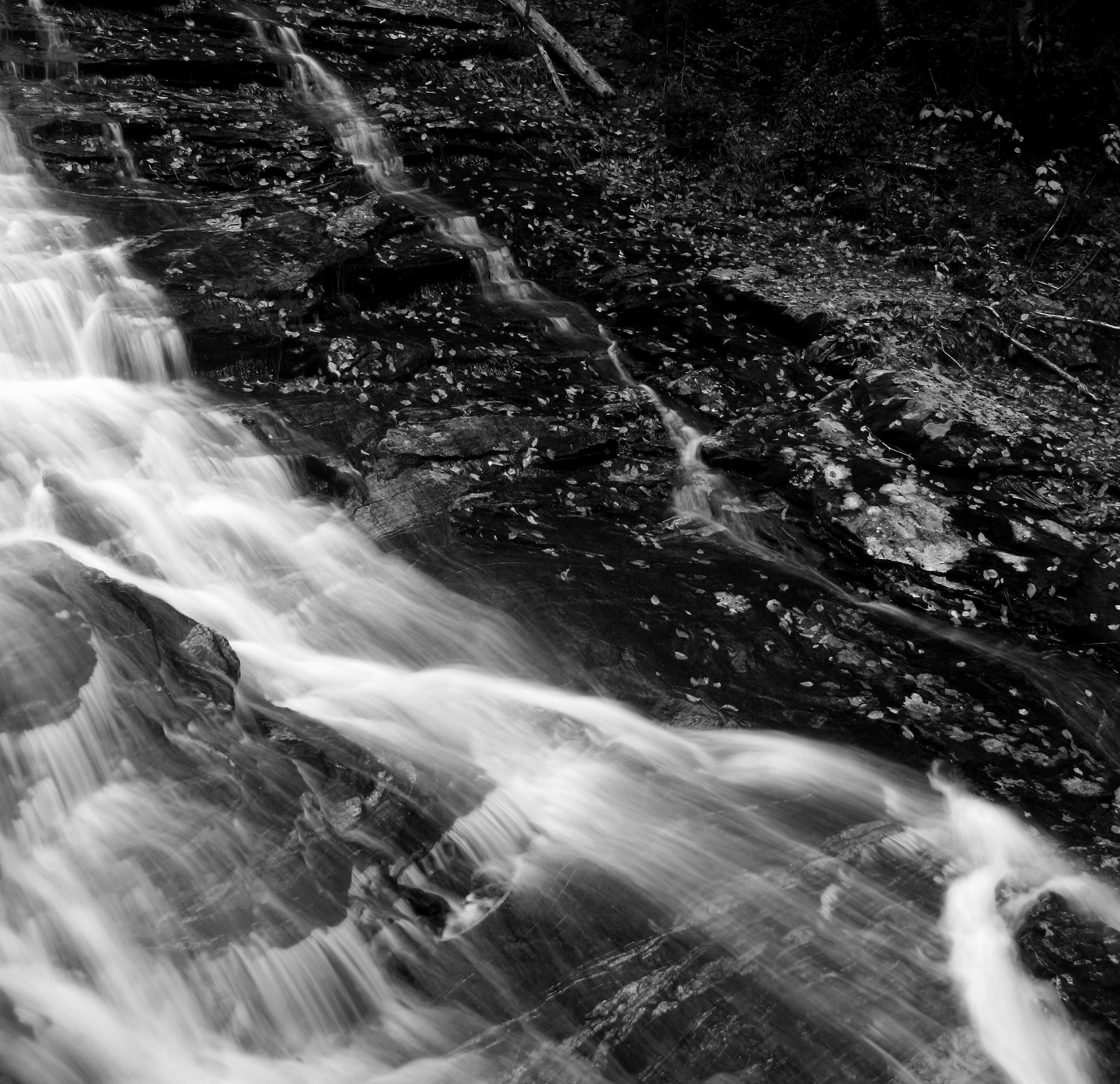 Moosilauke Cascades