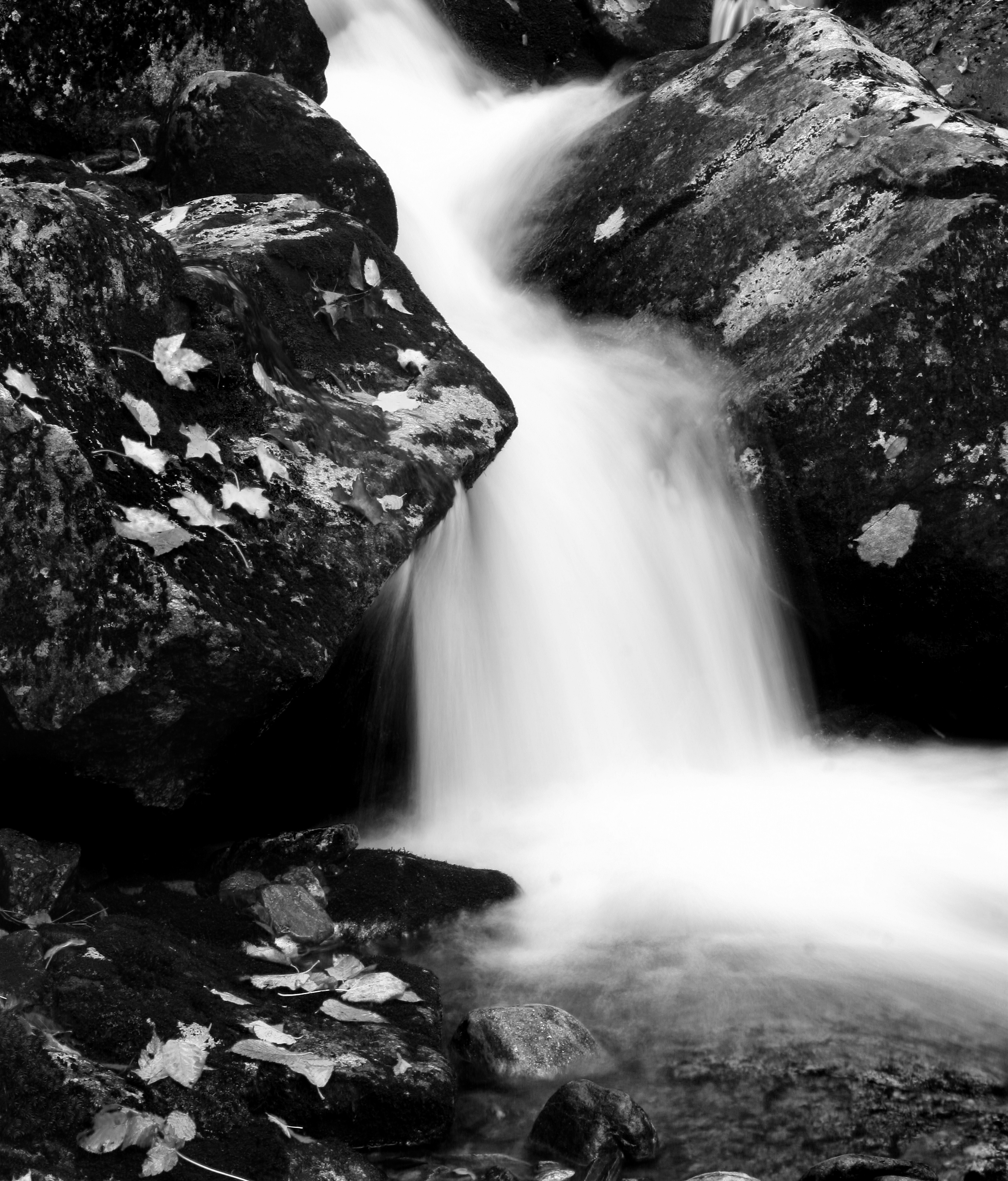 Leaves and Cascade