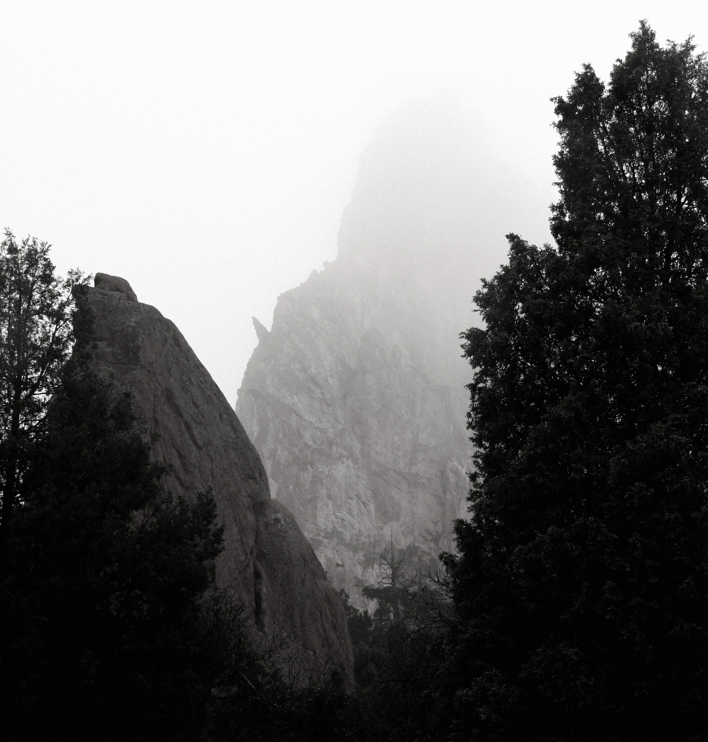 Kissing Camels in Fog