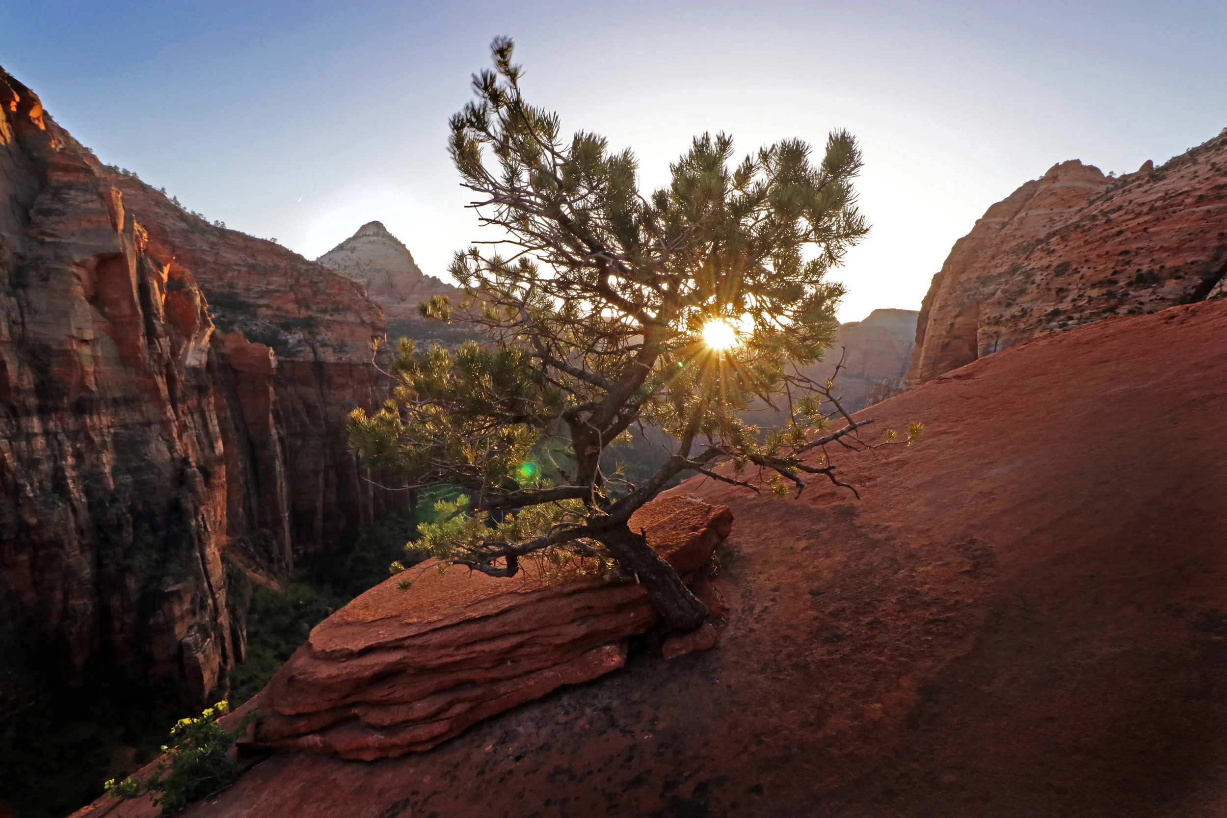 Artist's Point, Zion
