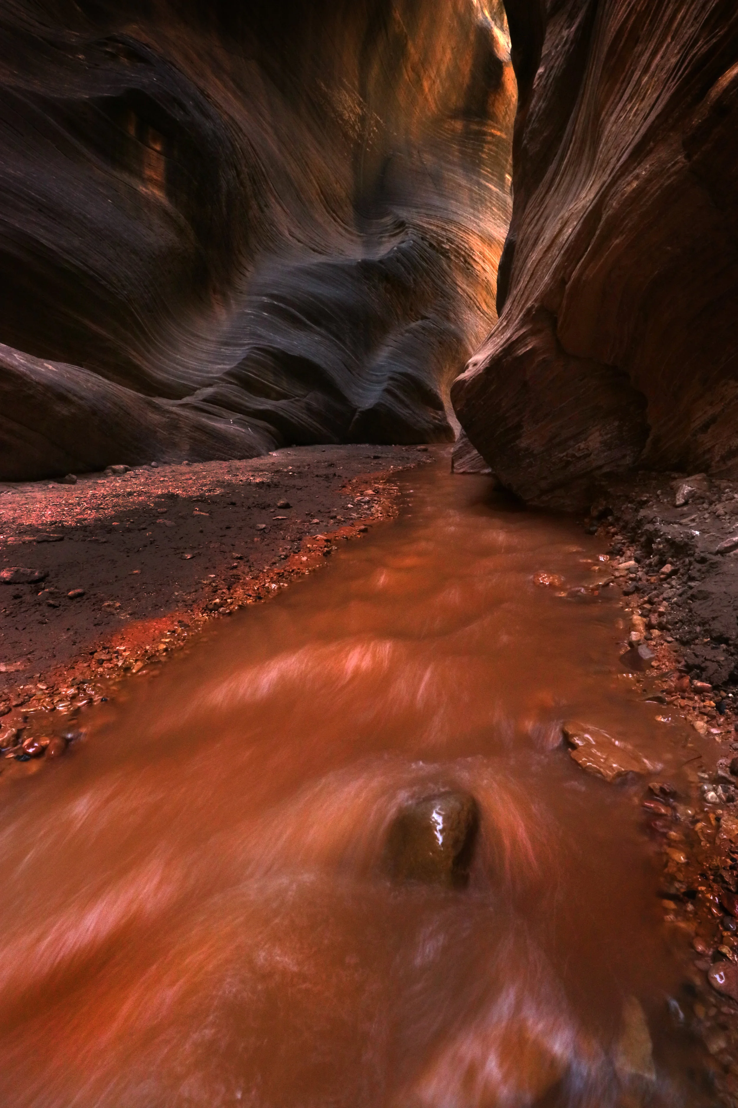 Willis Gulch