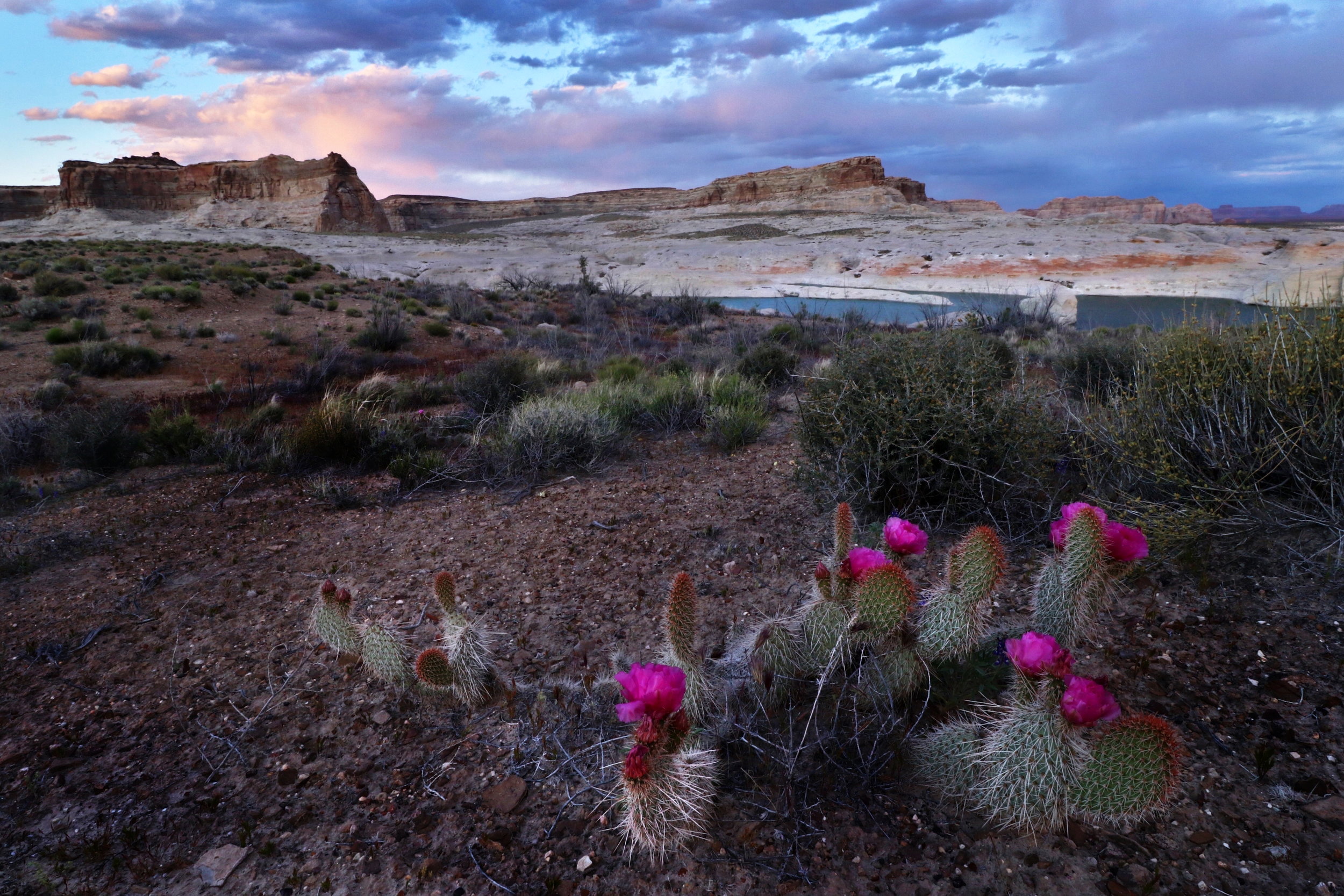 Lake Powell