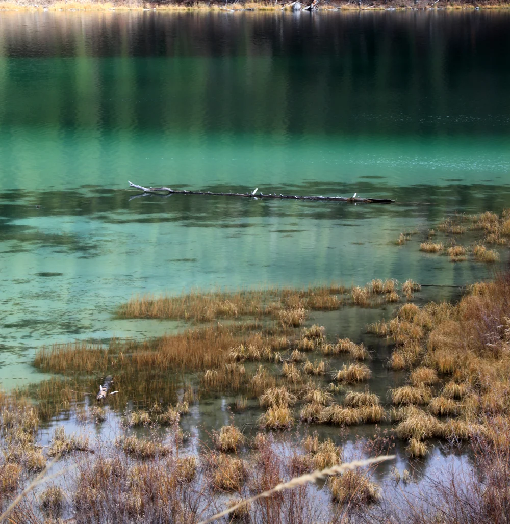 Cliff & Wade Lake, MT