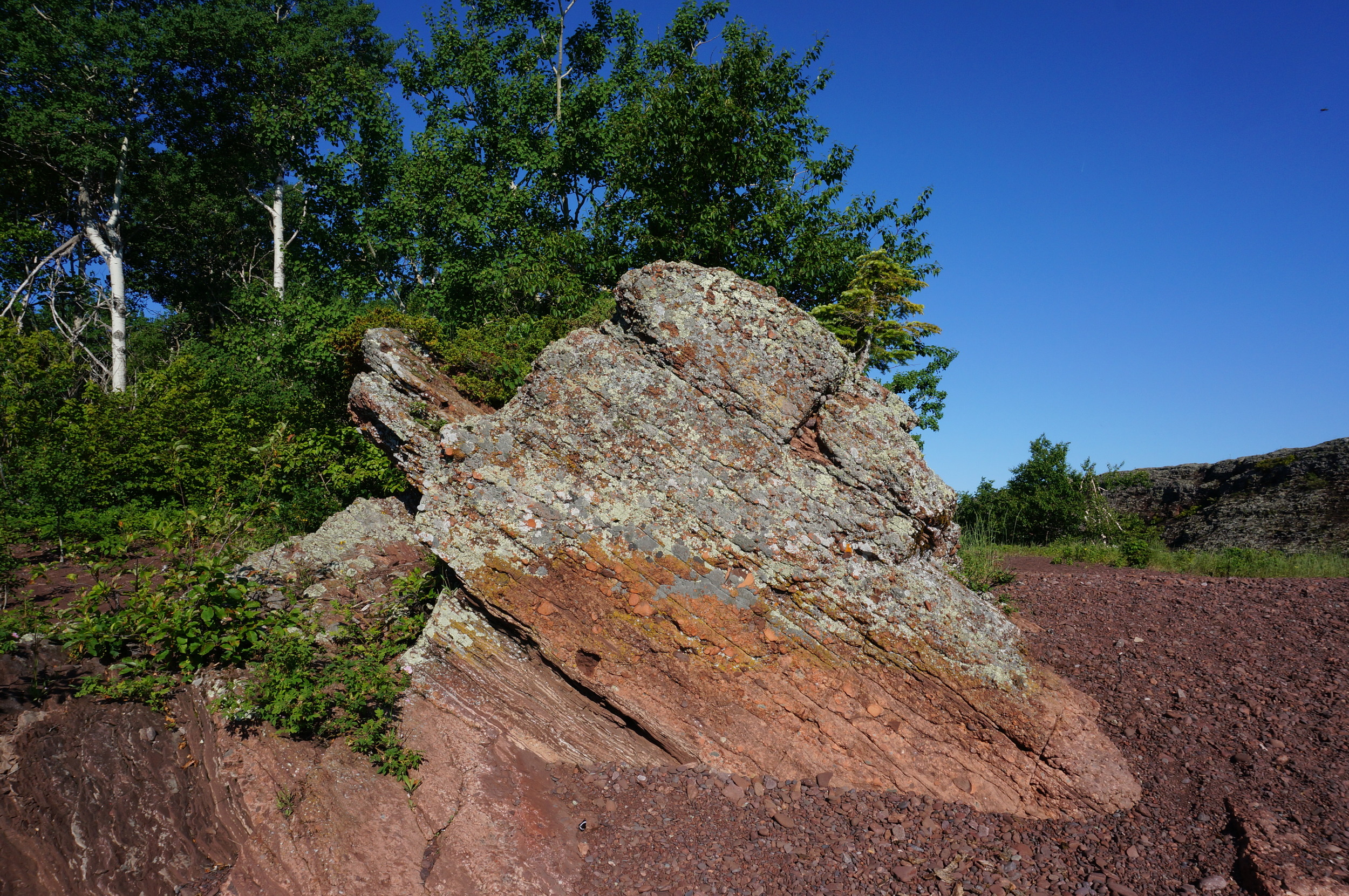 DSC00906.JPG