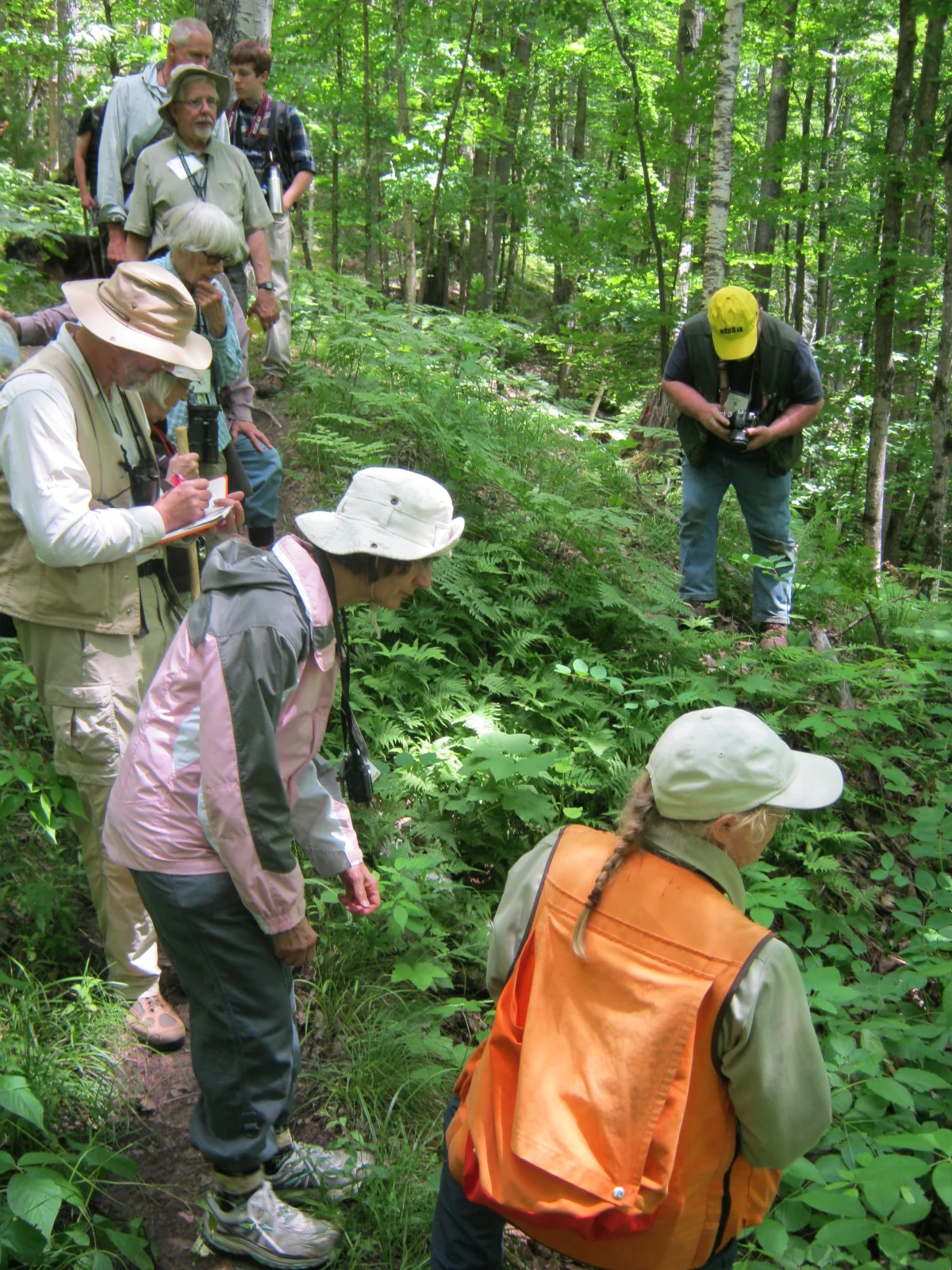 Botanizing the 250ft. drop to the Sturgeon River Gorge
