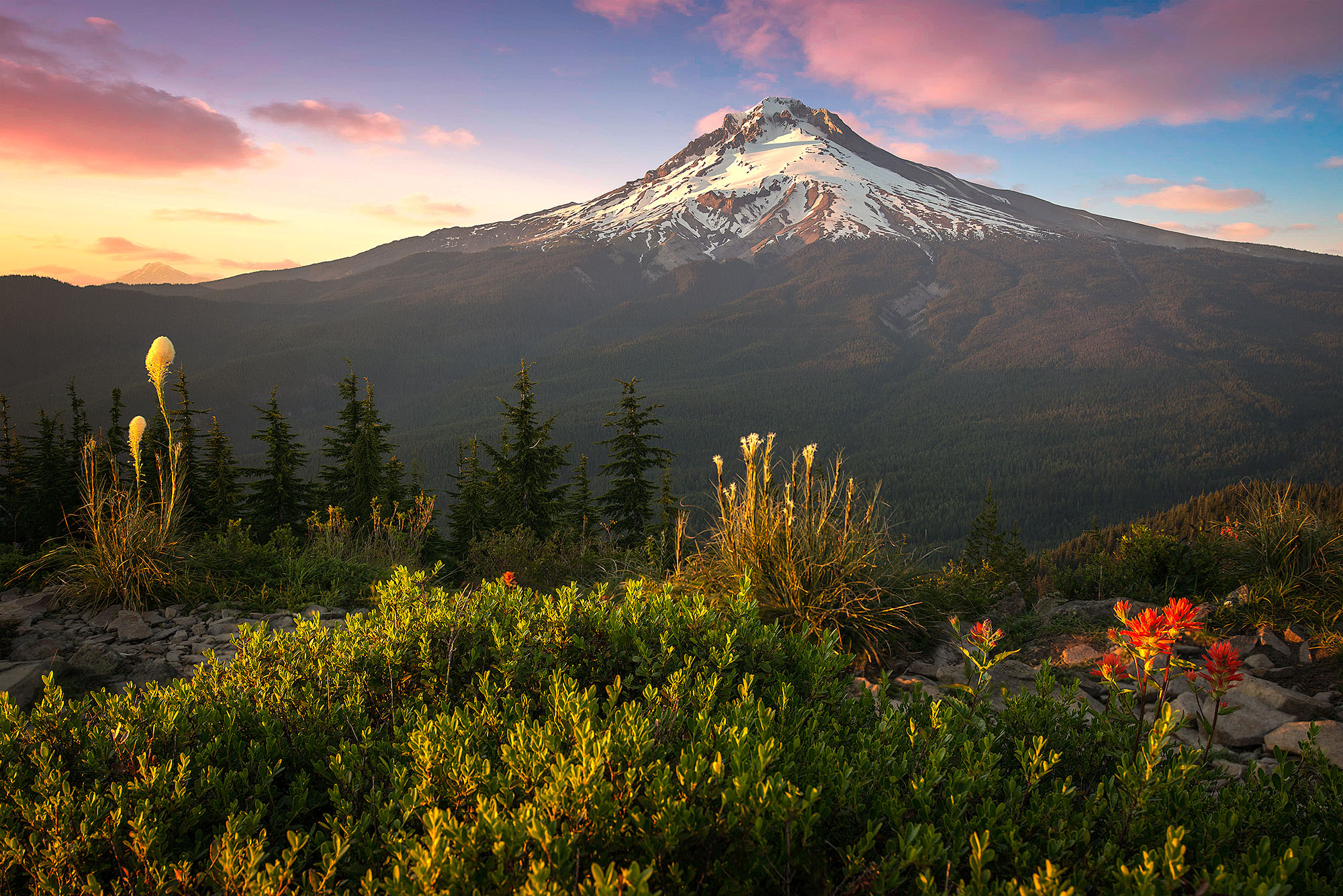 Mt. Hood