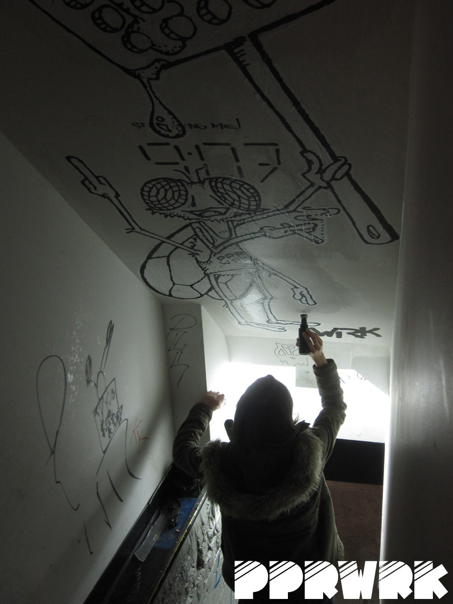 Fly Squatter PPRWRK 11