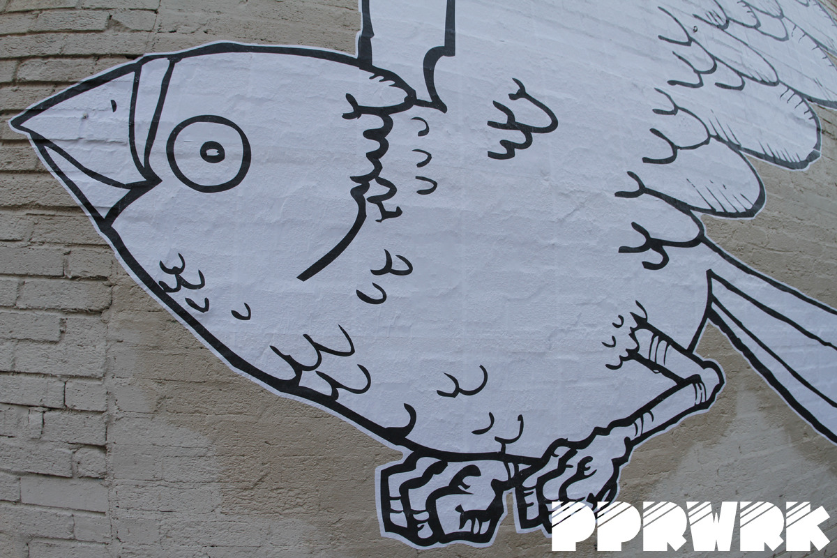 Blue_Bird_Frazier_PPRWRK_13