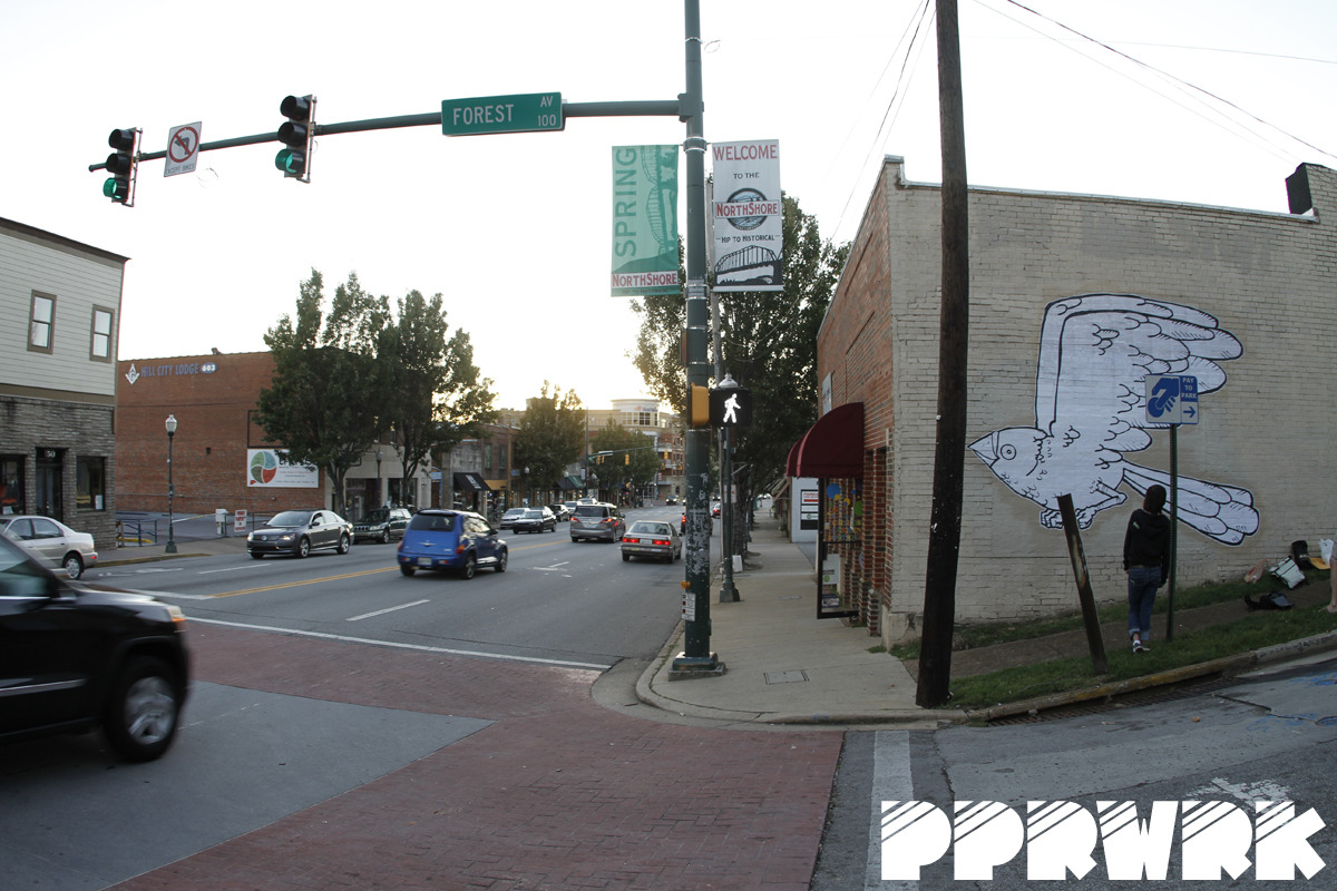 Blue_Bird_Frazier_PPRWRK_11