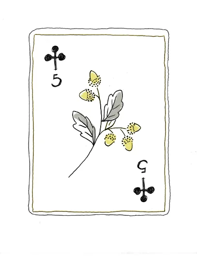 5 of CLUBS.jpg
