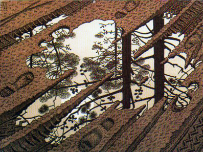 McC. Escher, Puddle , 1952 ©1990 M.C. Escher c/o Cordon Art–Baarn–Holland