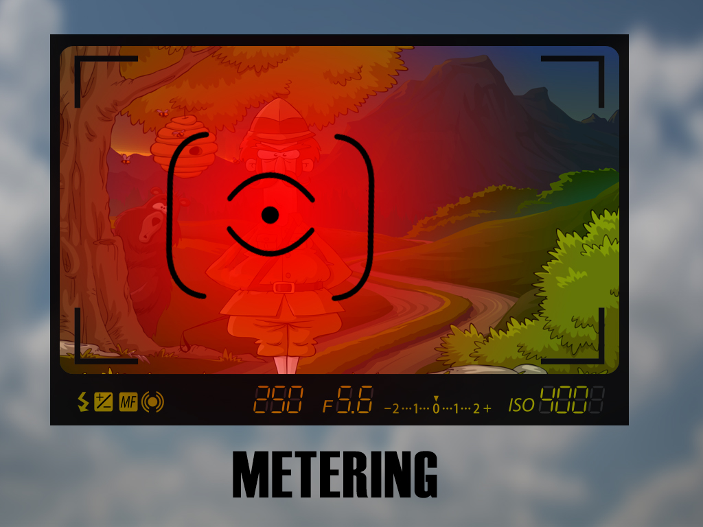 Metering tells the camera where to look to determine the amount of light in the scene.