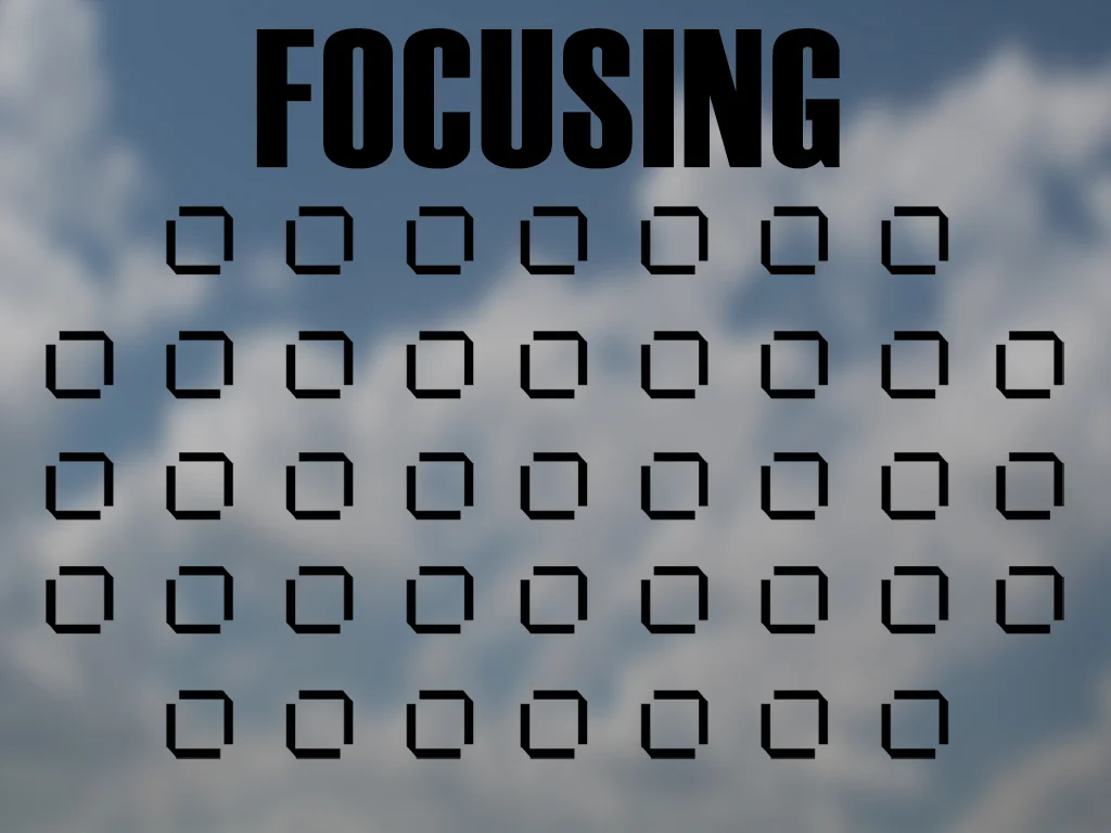 Blurring from movement is handled by shutter speed... but mis-focusing happens a lot as well.