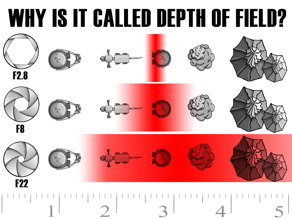 Seen from above... the red represents the area of focus. (What is in focus with the gradual fade into blurriness.)