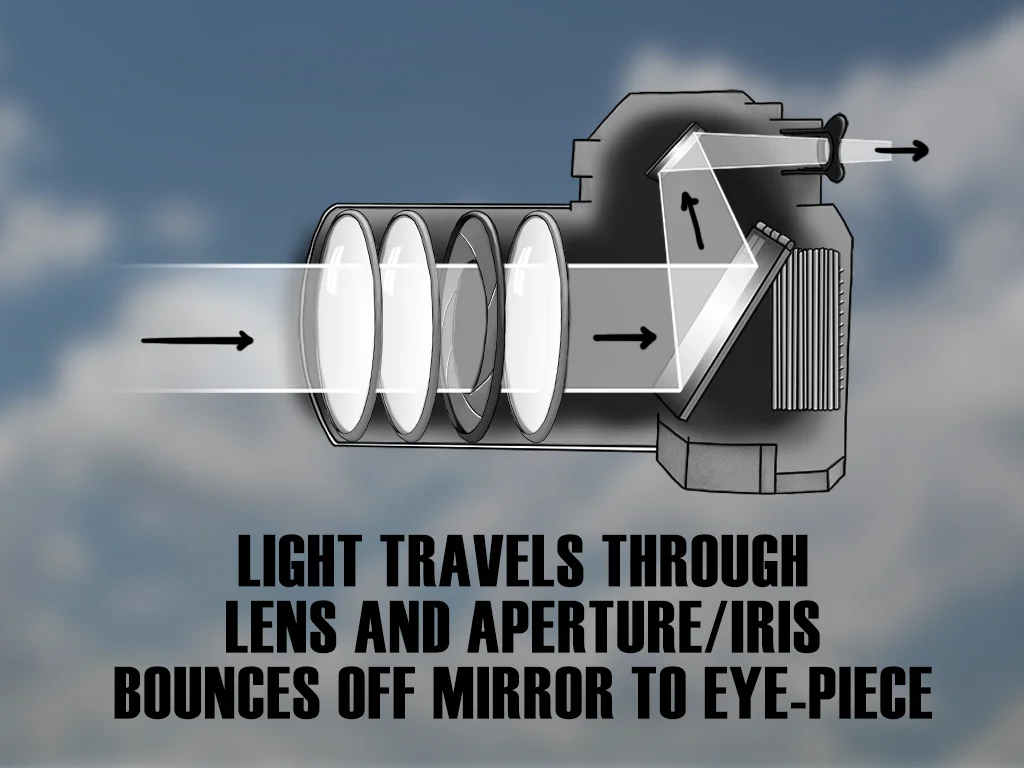 mirror down.jpg