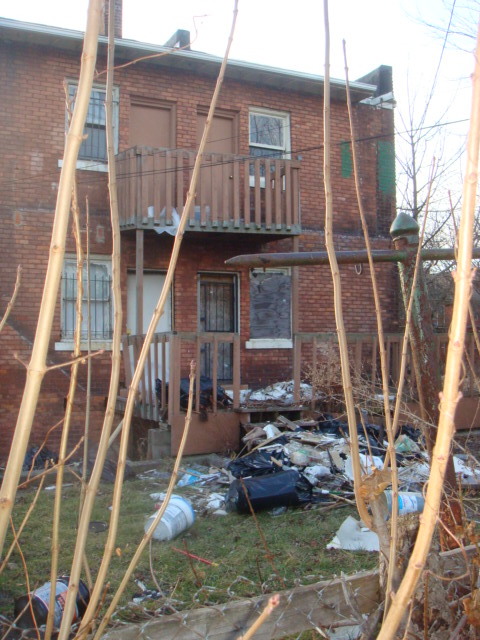 House Barfing Garbage.JPG