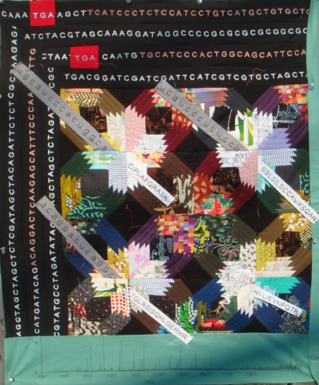 Ribosomes Spuriously Translating Long Non-Coding RNAs