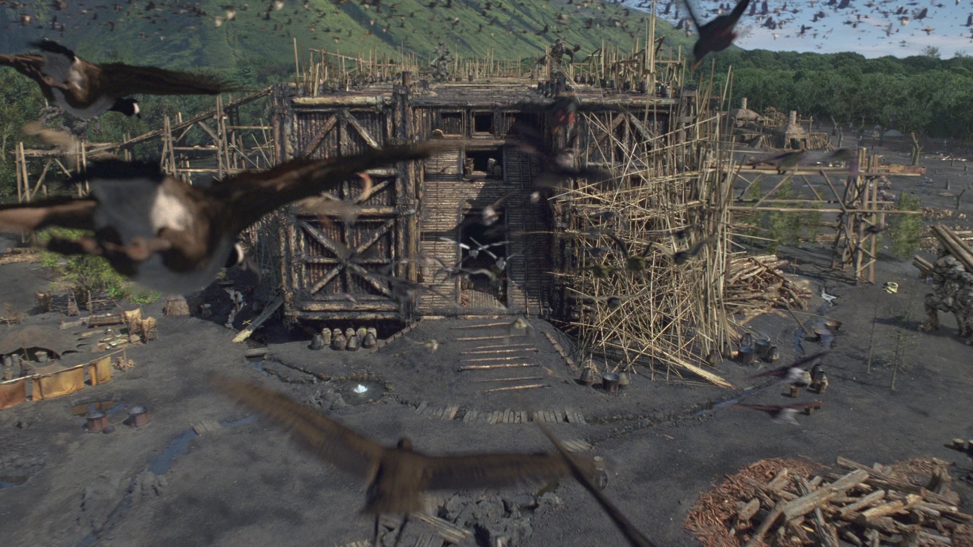 The Birds of Noah: