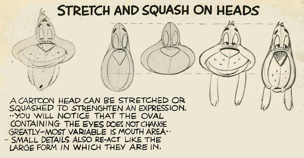 6: Secondary Action, Squash, Stretch