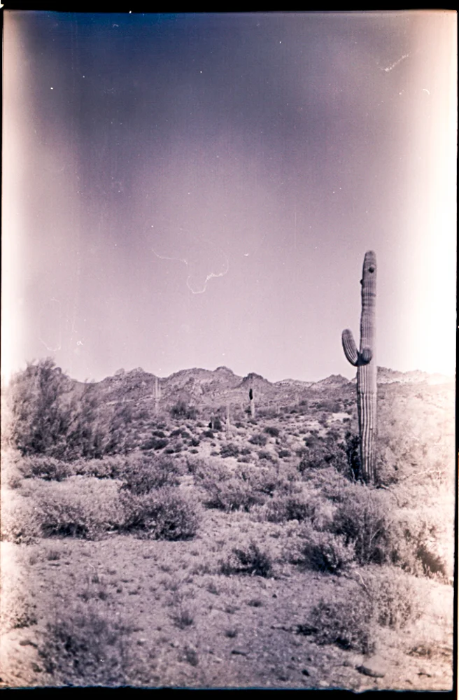 sd_retina_arizona16-19.jpg