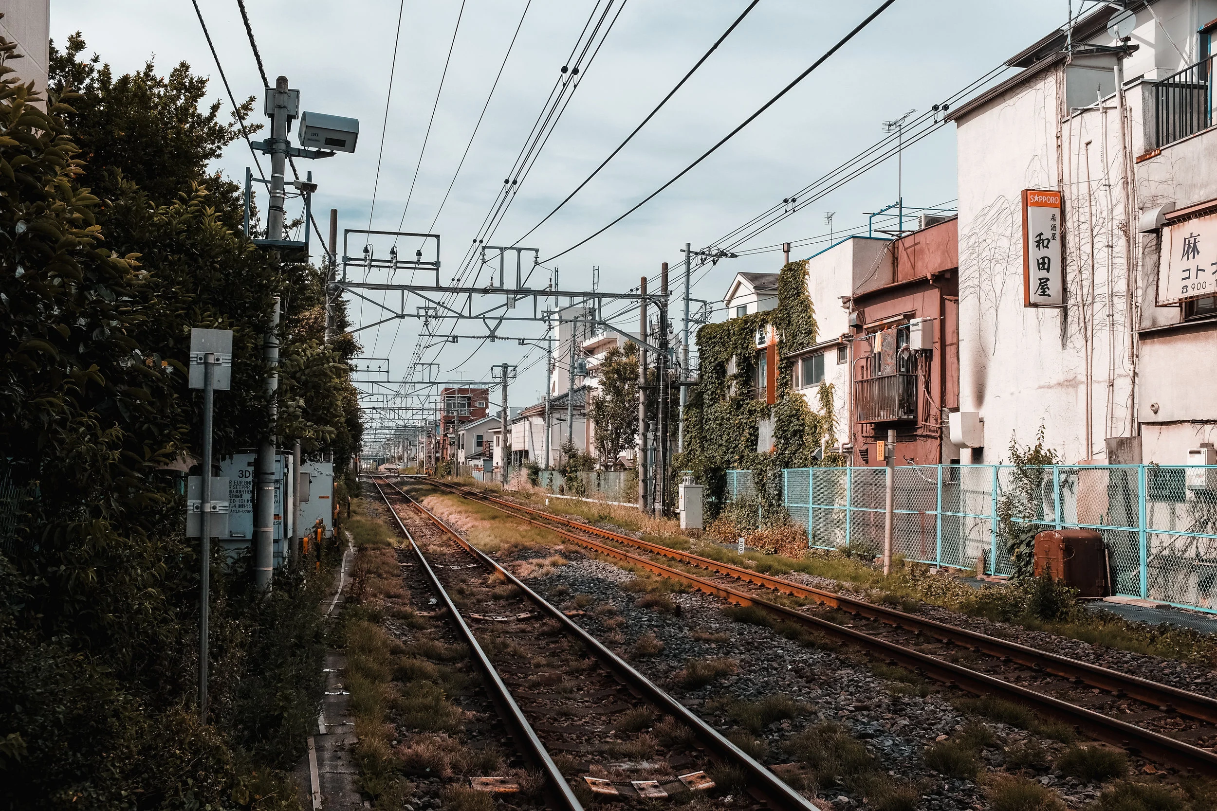 TokyoJapan_2018_AdamDillon_DSCF9228.jpg