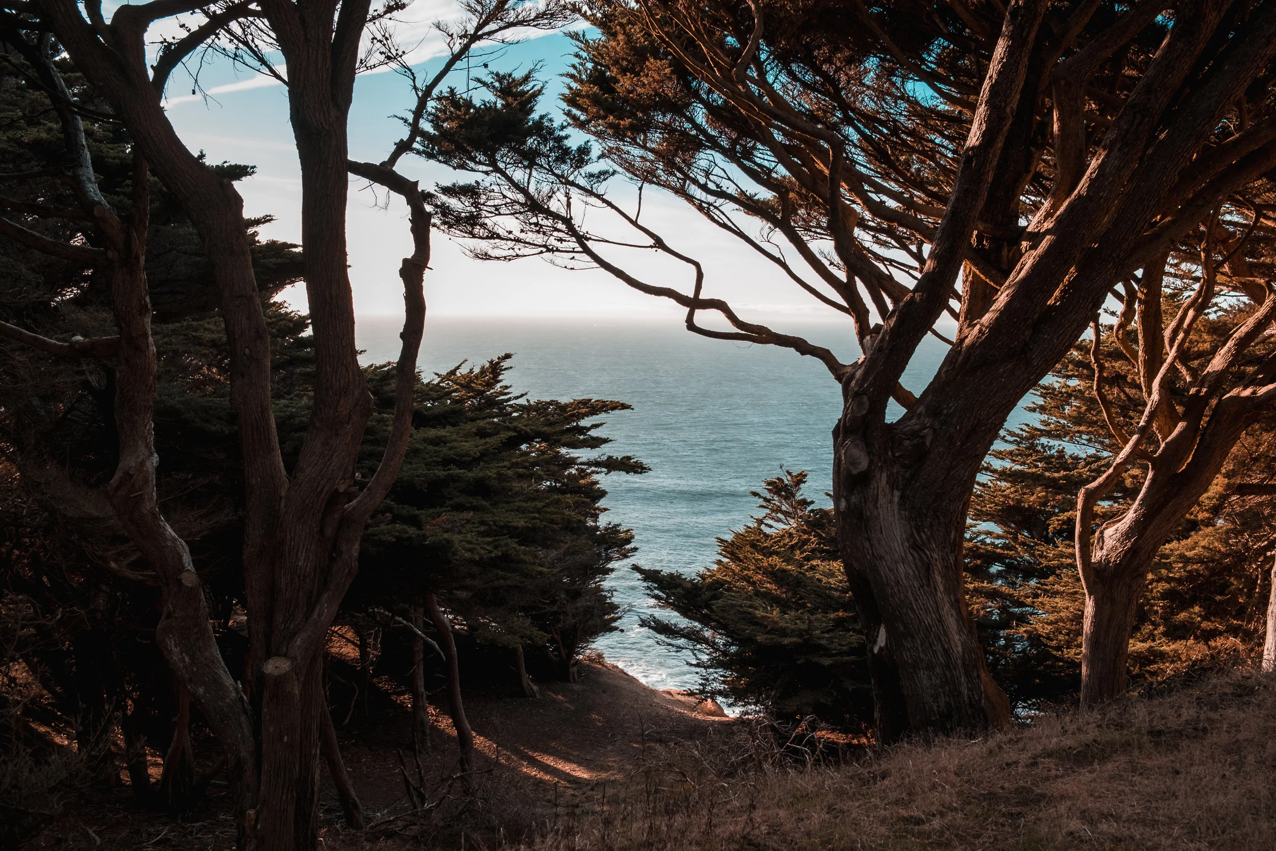 SutroBaths_2018_AdamDillon_DSCF0752.jpg