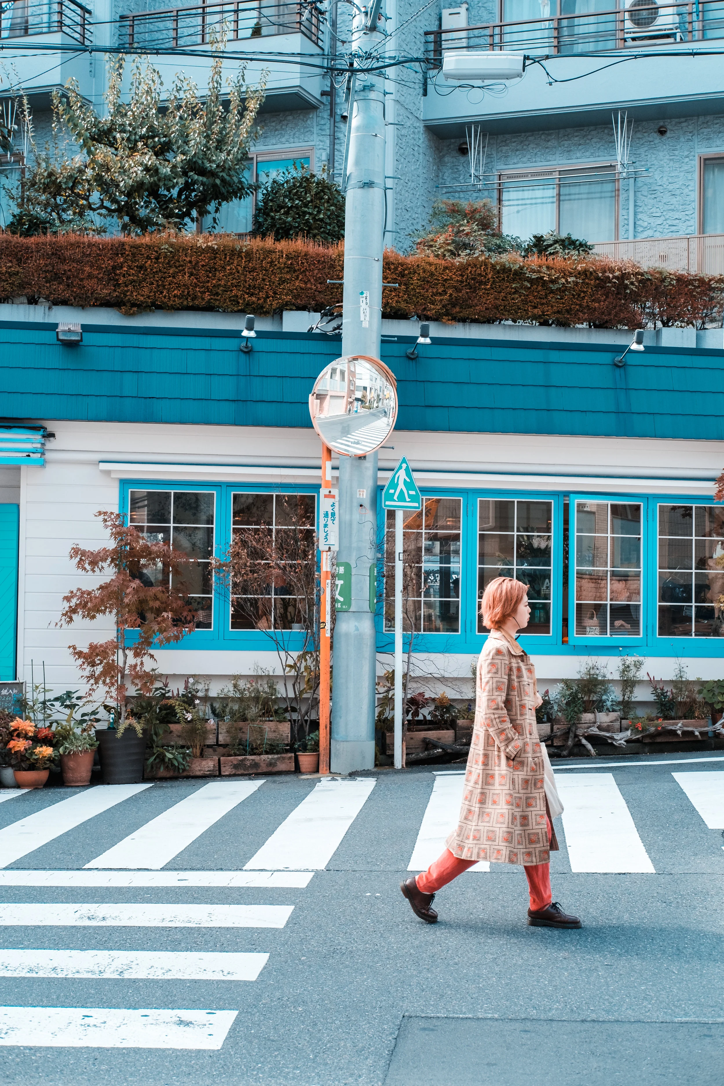 Tokyo_Nov_2018_AdamDillon_DSCF1113.jpg