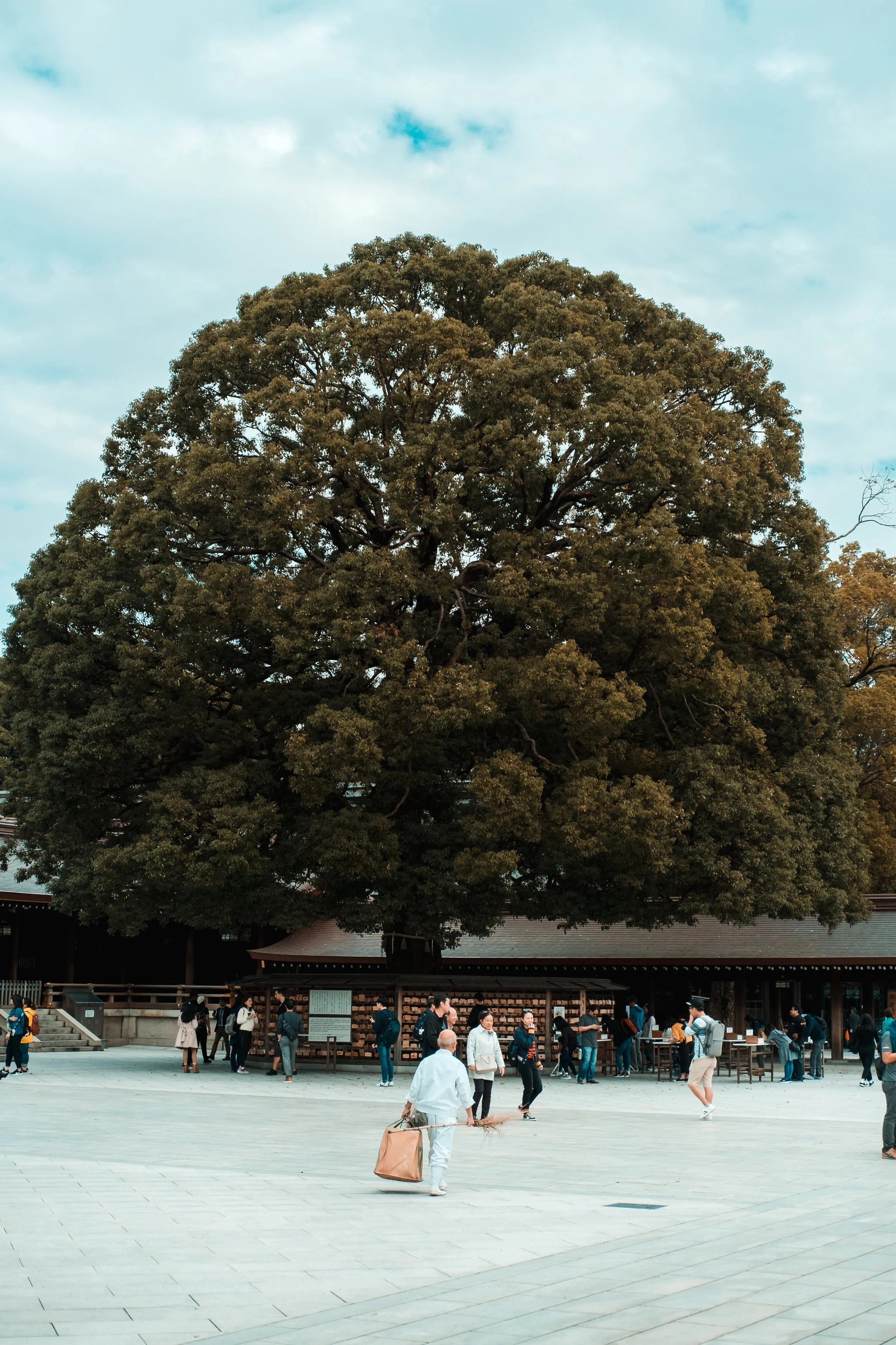Tokyo_Nov_2018_AdamDillon_DSCF1181.jpg