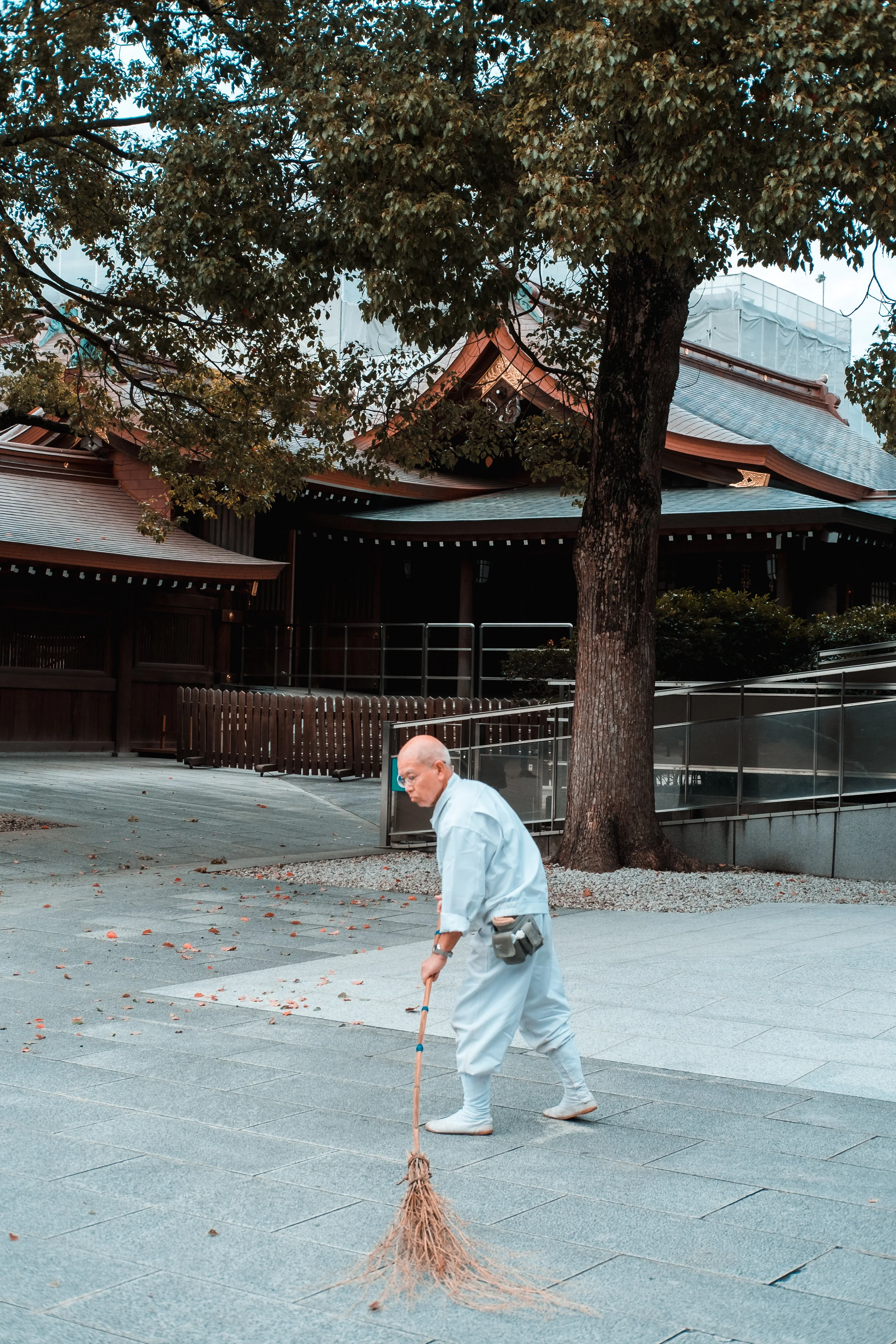 Tokyo_Nov_2018_AdamDillon_DSCF1191.jpg