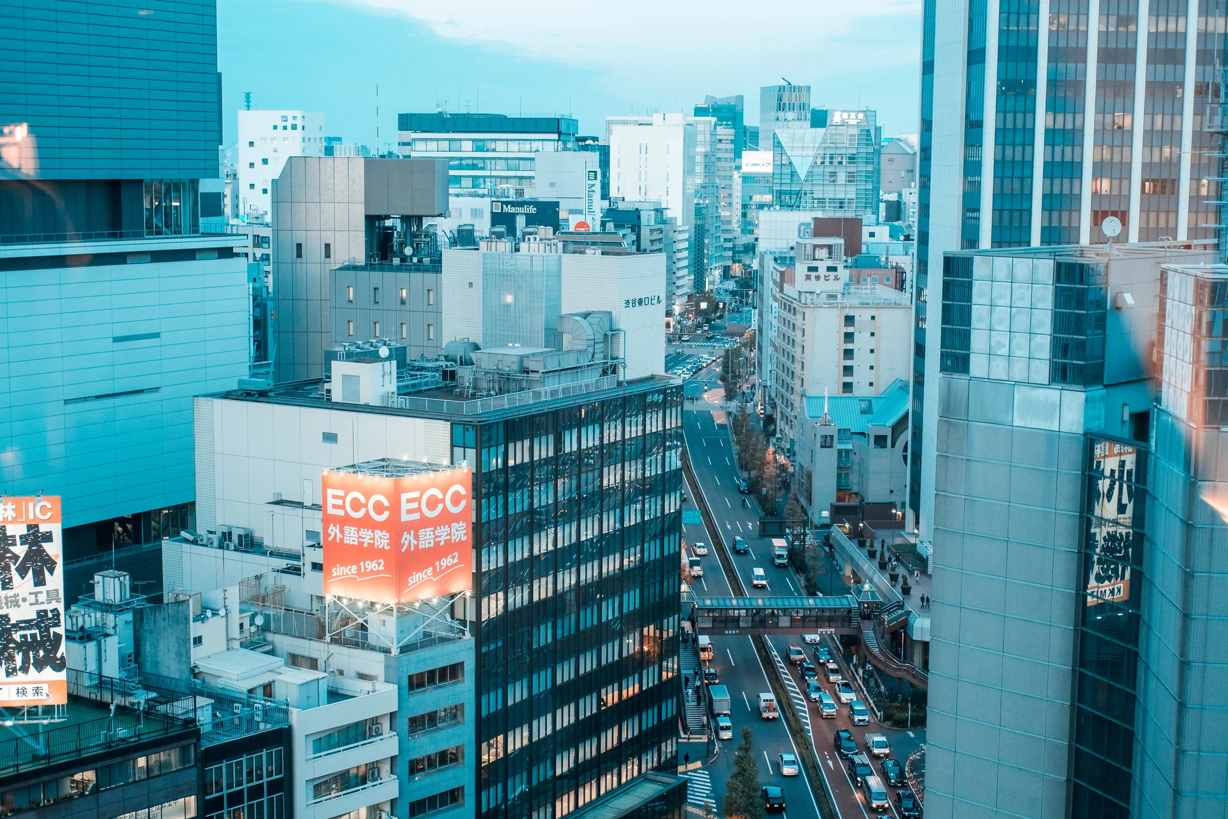 Tokyo_Nov_2018_AdamDillon_DSCF1227.jpg