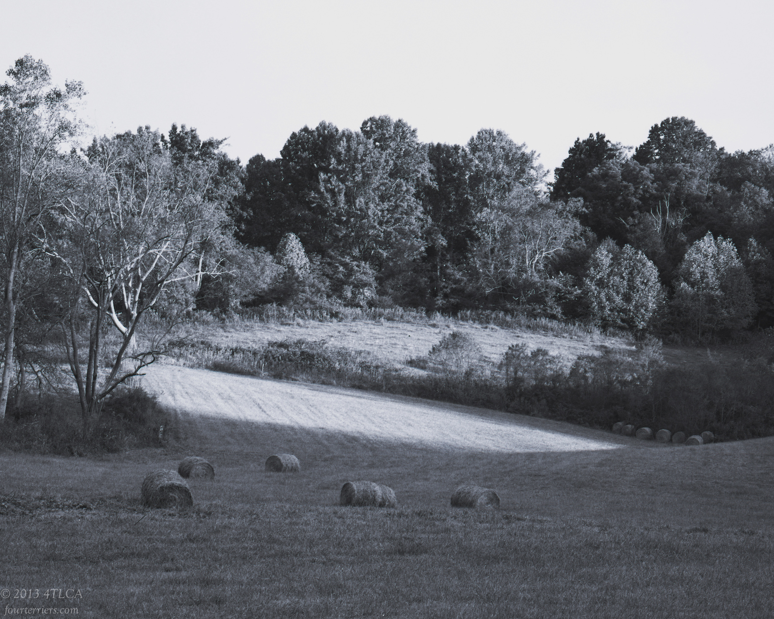 A Field in Washington County, Virginia