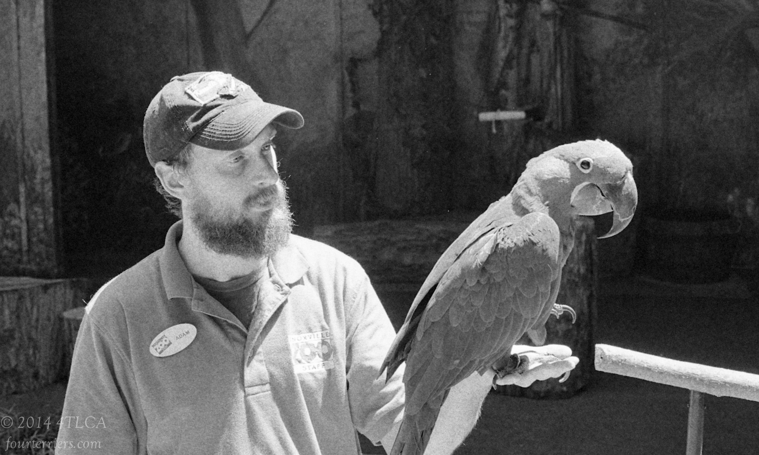 Parrot Master - Knoxville Zoo