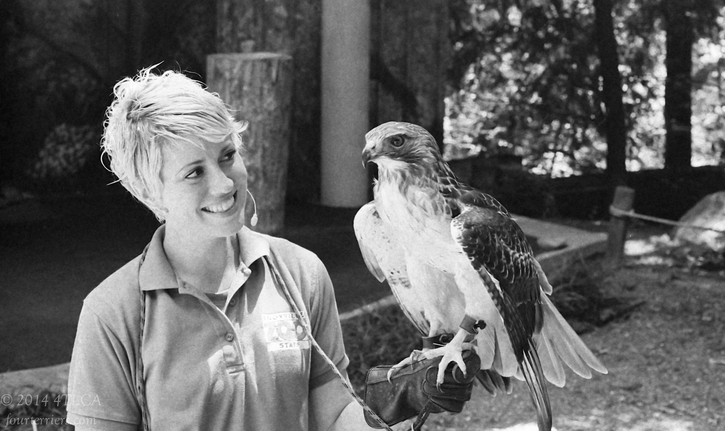 Keeper of the Hawk - Knoxville Zoo