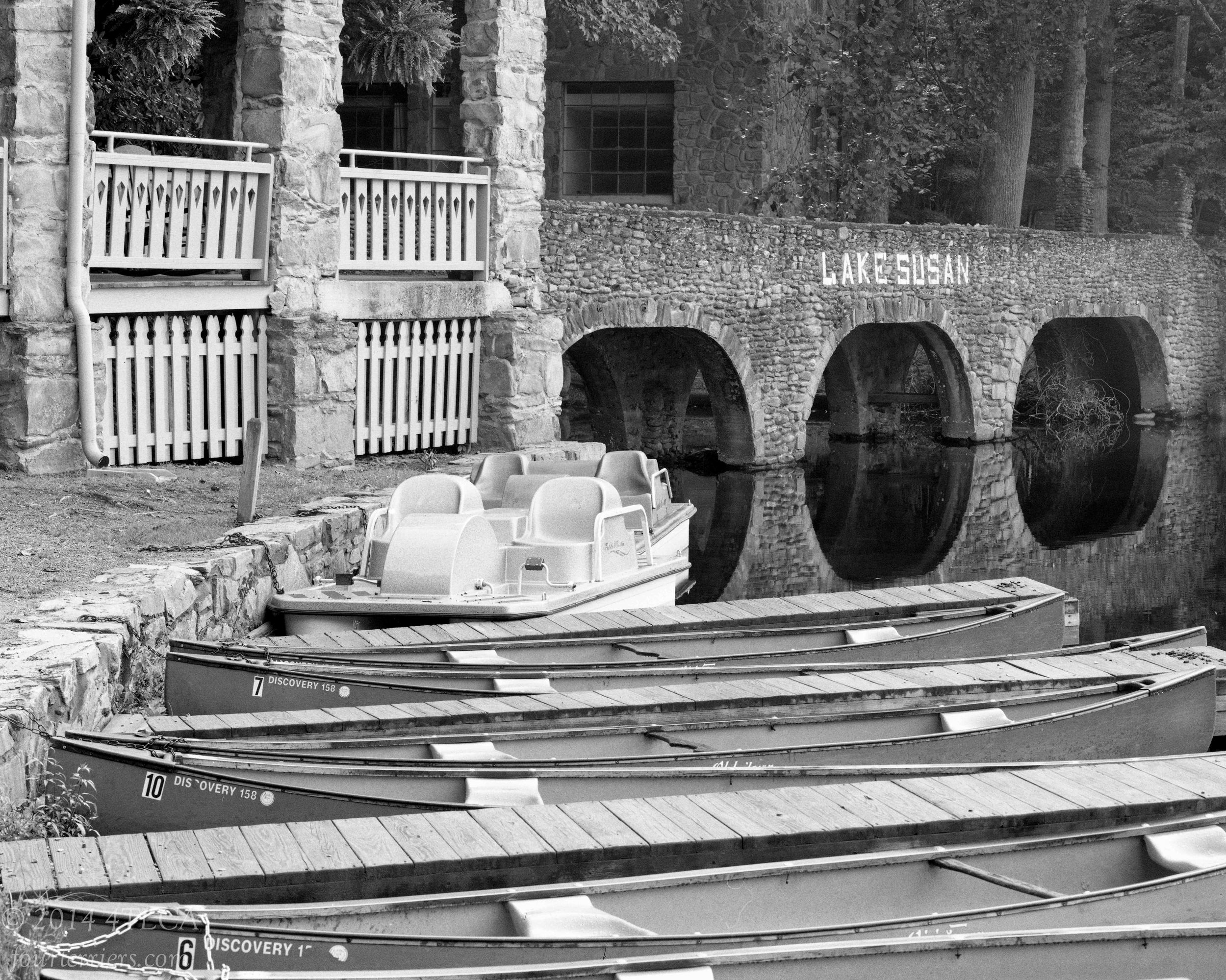 Lake Susan Bridge