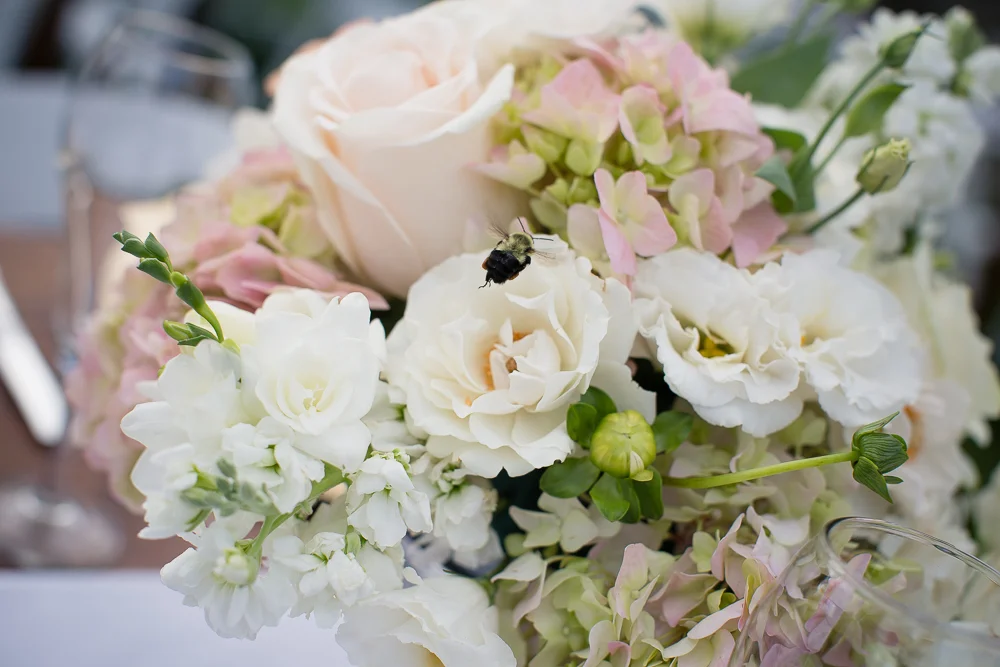 Hopkins Vineyard Tented Vineyard Wedding Amy Champagne Events061Hopkins-Vineyard-Warren-CT-unique-beautiful-styled-wedding-photography_0007.jpg