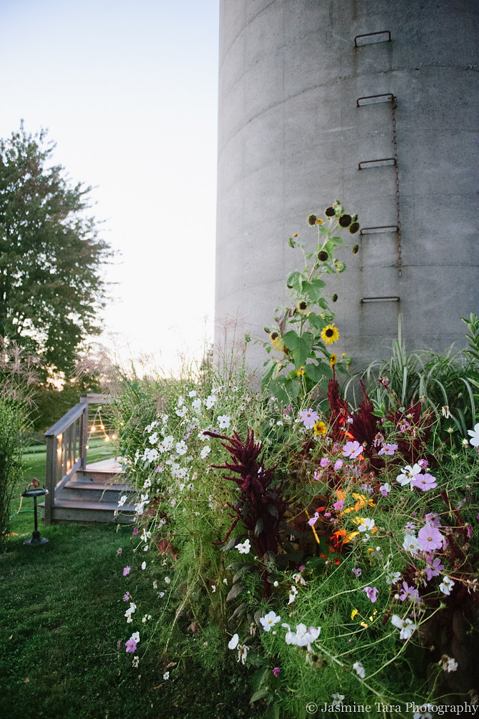 The wild flowers at Candlelight Farm were simply outrageous!