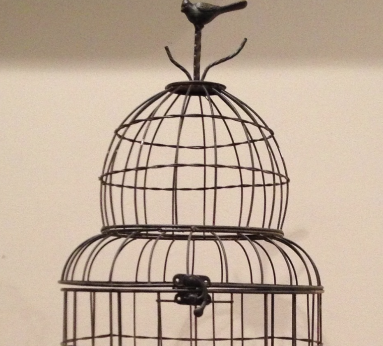 :: New Additions for the "Stock of Stuff" ::