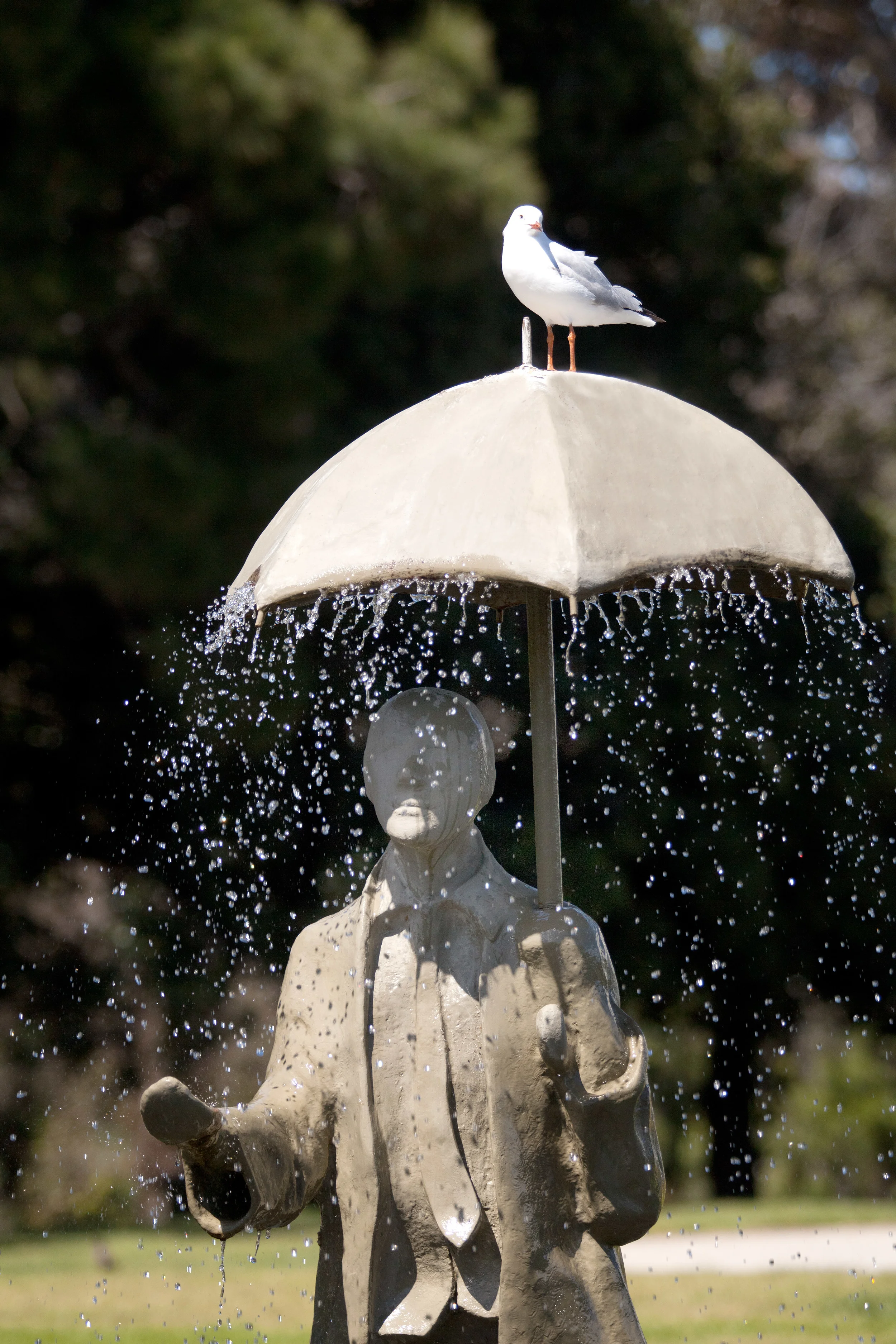 RAIN_MAN_KLRP_5294.jpg