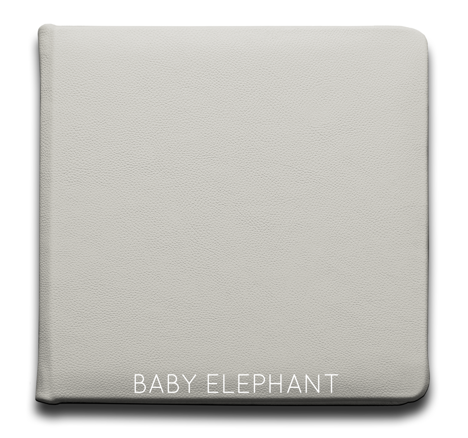 Baby Elephant - Leather