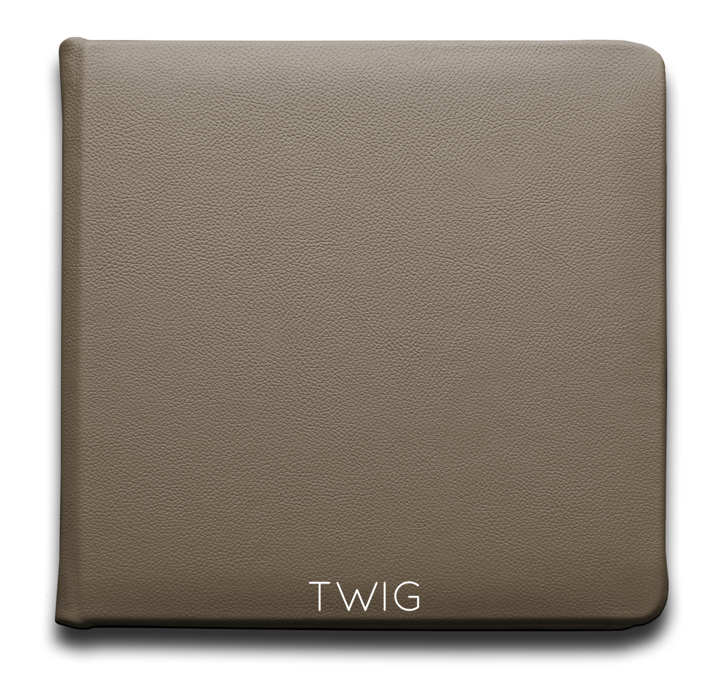 Twig
