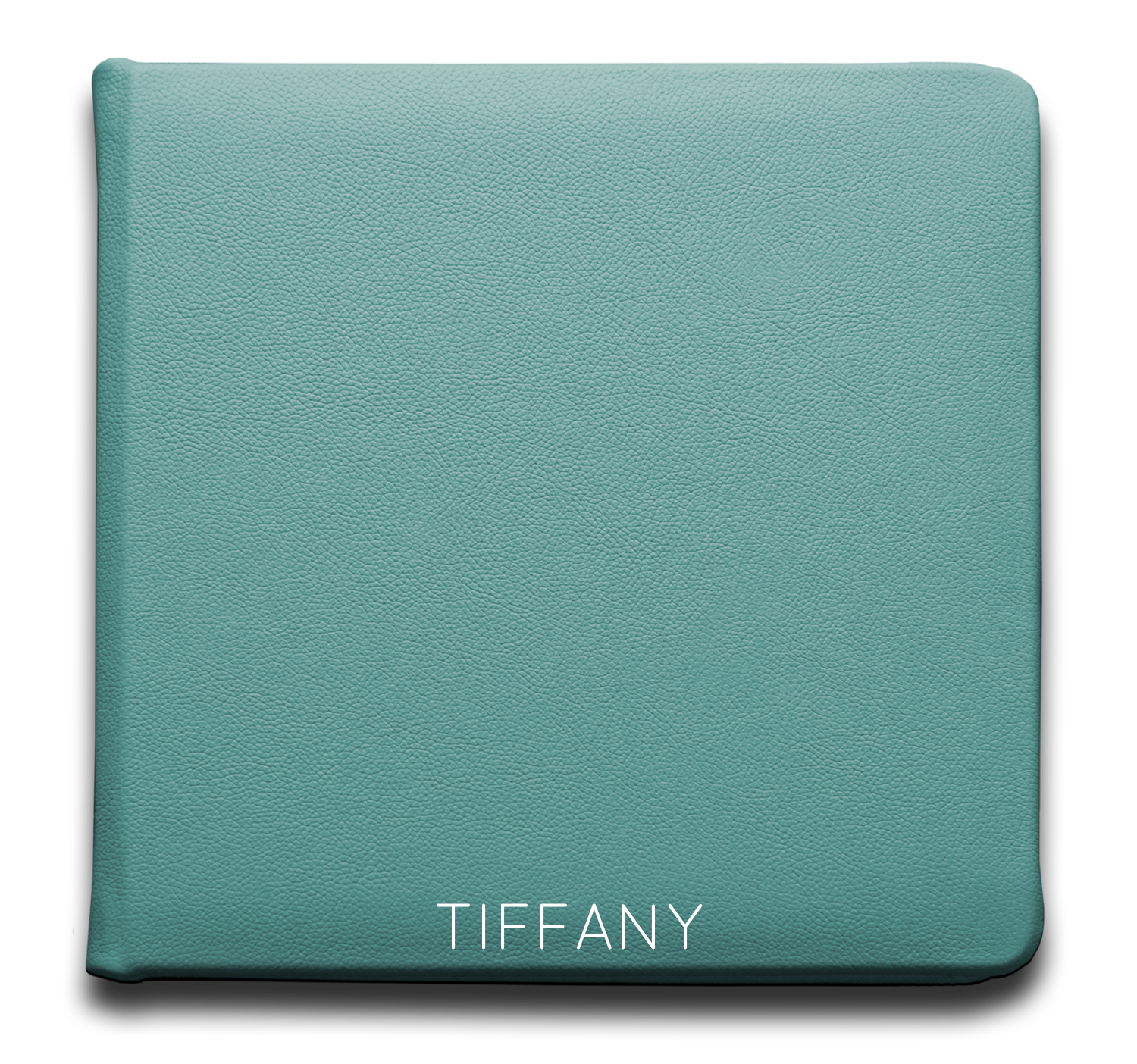 Tiffany - Leather
