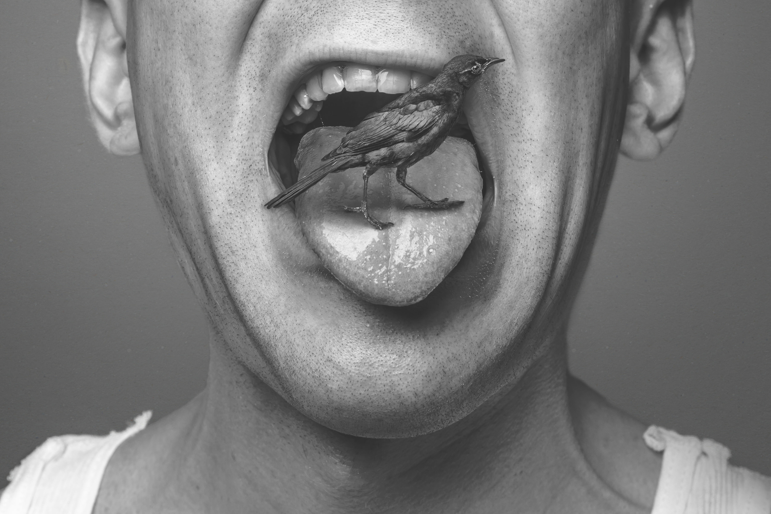 By Ryan McGuire
