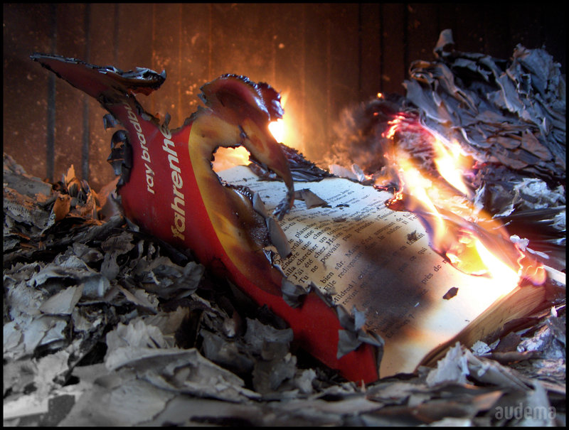 Fahrenheit 451 by Audema